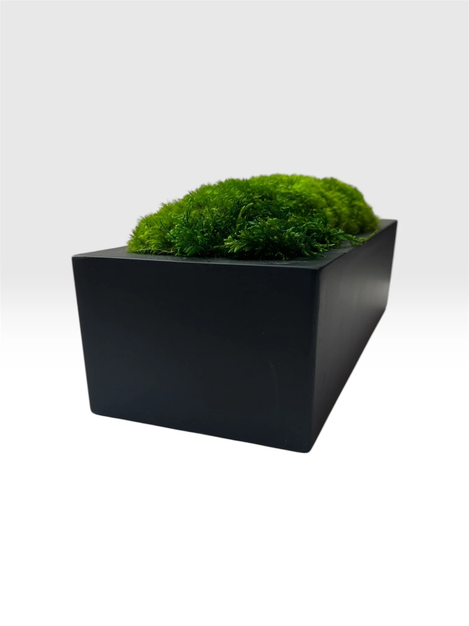 Black Rectangular Planter- Small