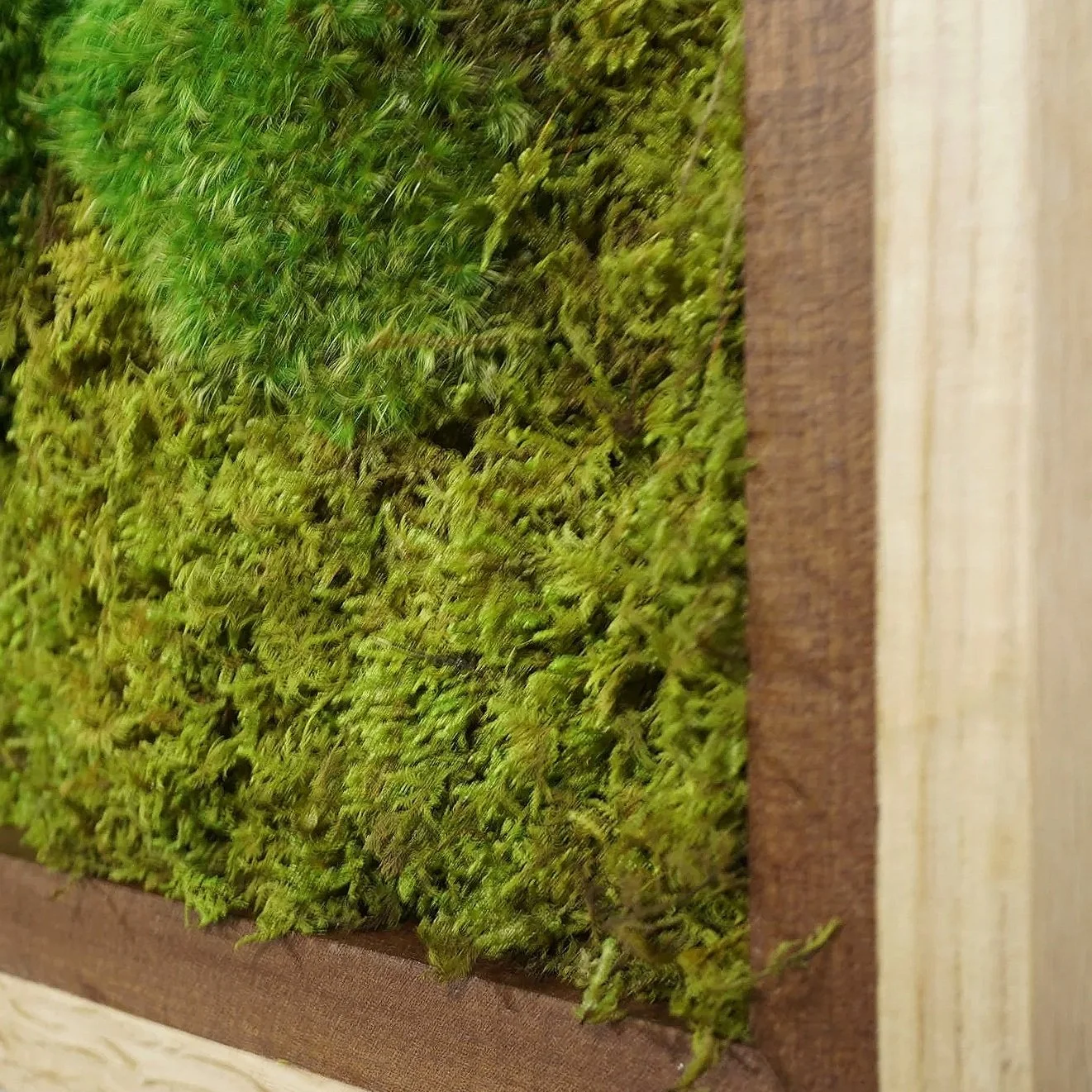 Handcrafted preserved moss frame, oak and cherry lumber frame filled lush moss, by MossBoss NYC