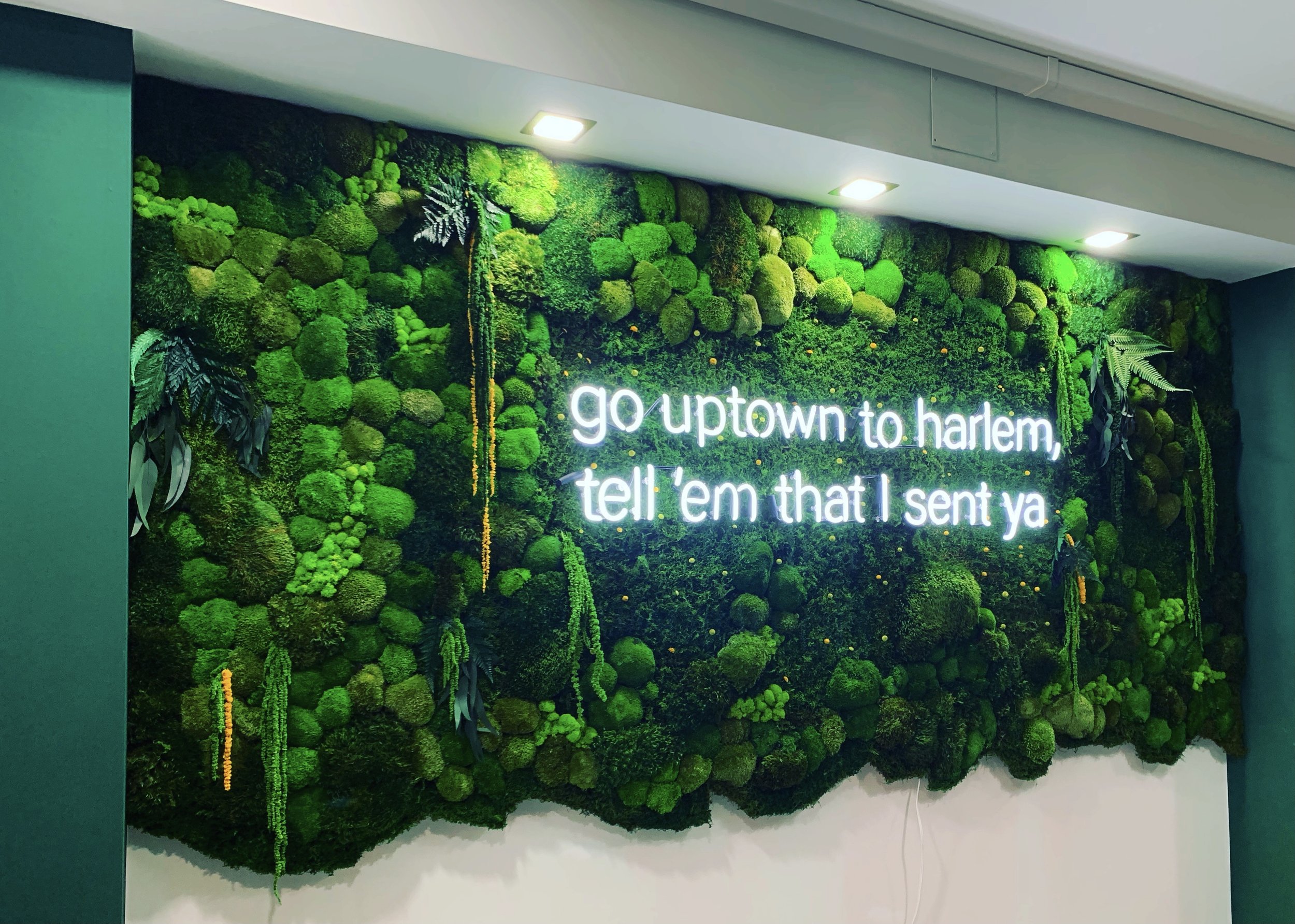 Green moss wall with neon sign saying "go uptown to harlem, tell 'em that I sent ya"