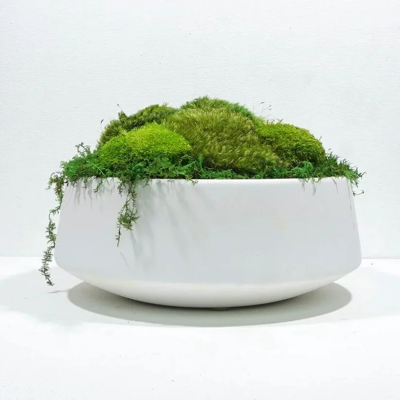 Luxury designer bowls in a matte finish and filled with preserved moss by MossBoss NYC