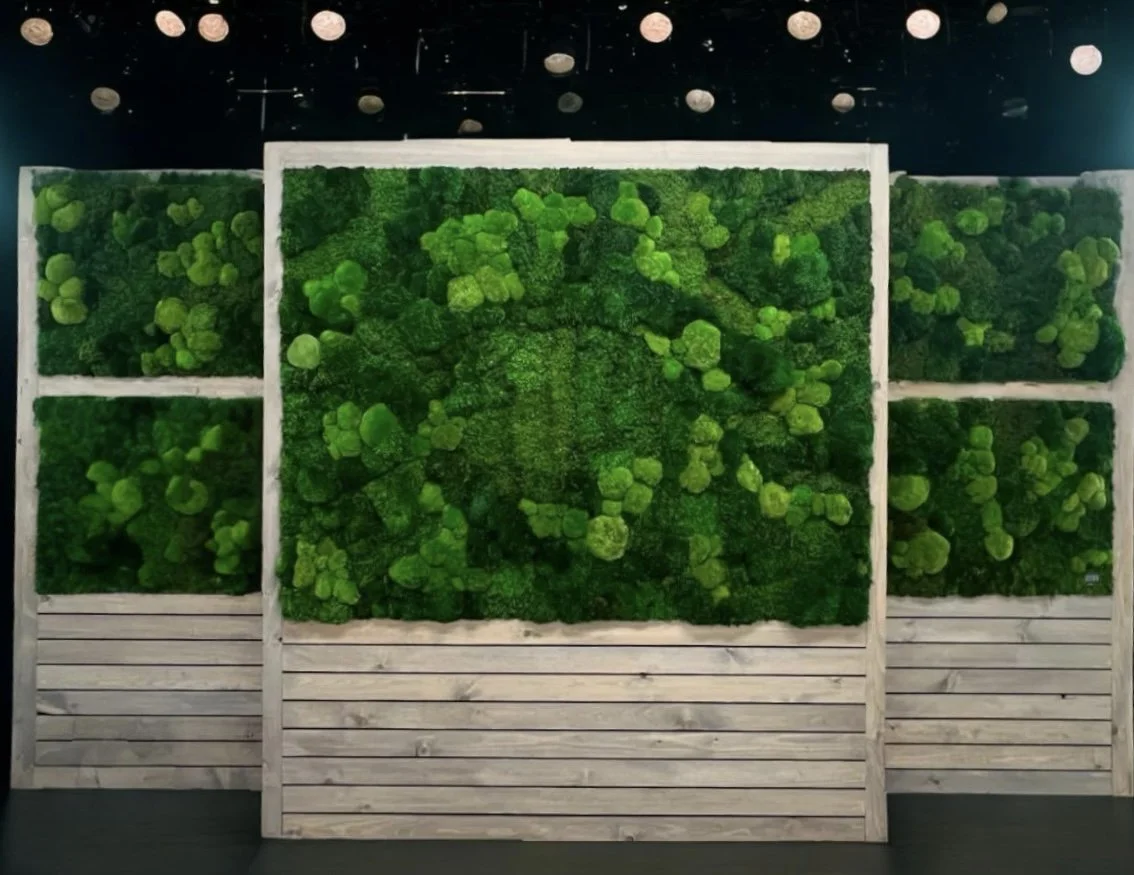 Green moss or plant wall art displayed on wooden frames against a dark background.