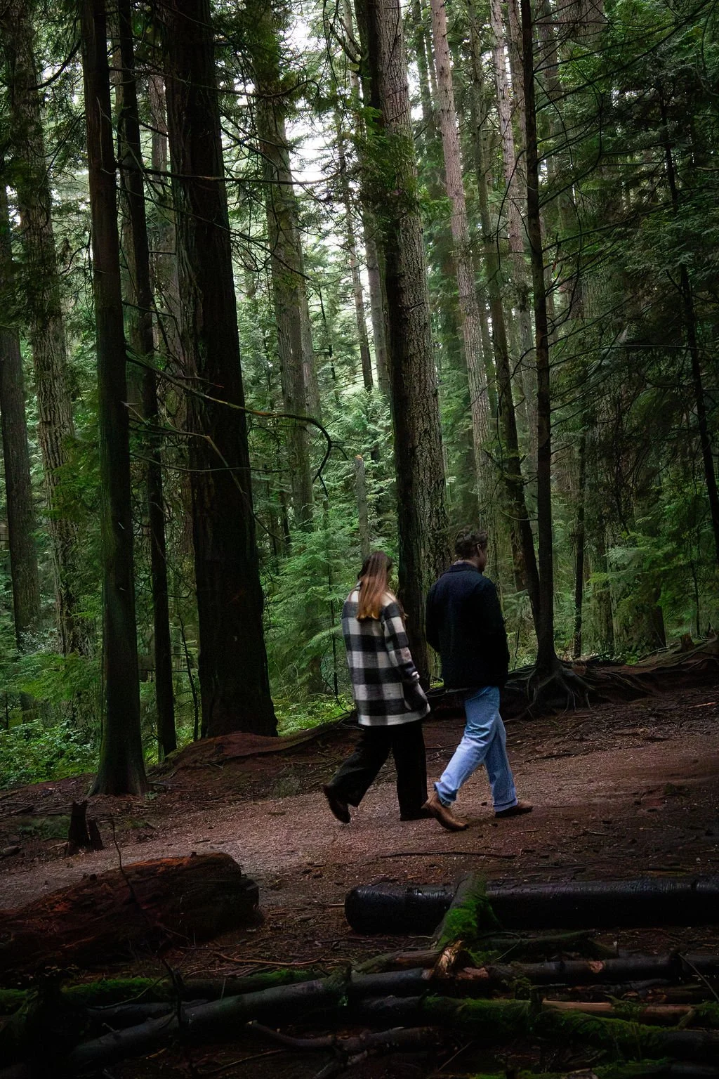 Two people walking in a dense forest with tall trees, green foliage, and a dirt trail.