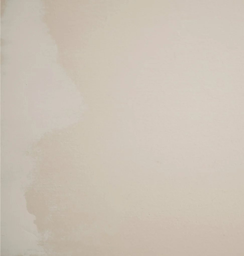 A textured wall used as a background.