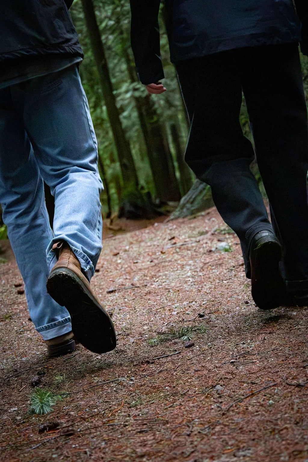 Two people walking on a trail in a dense forest, seen from behind.