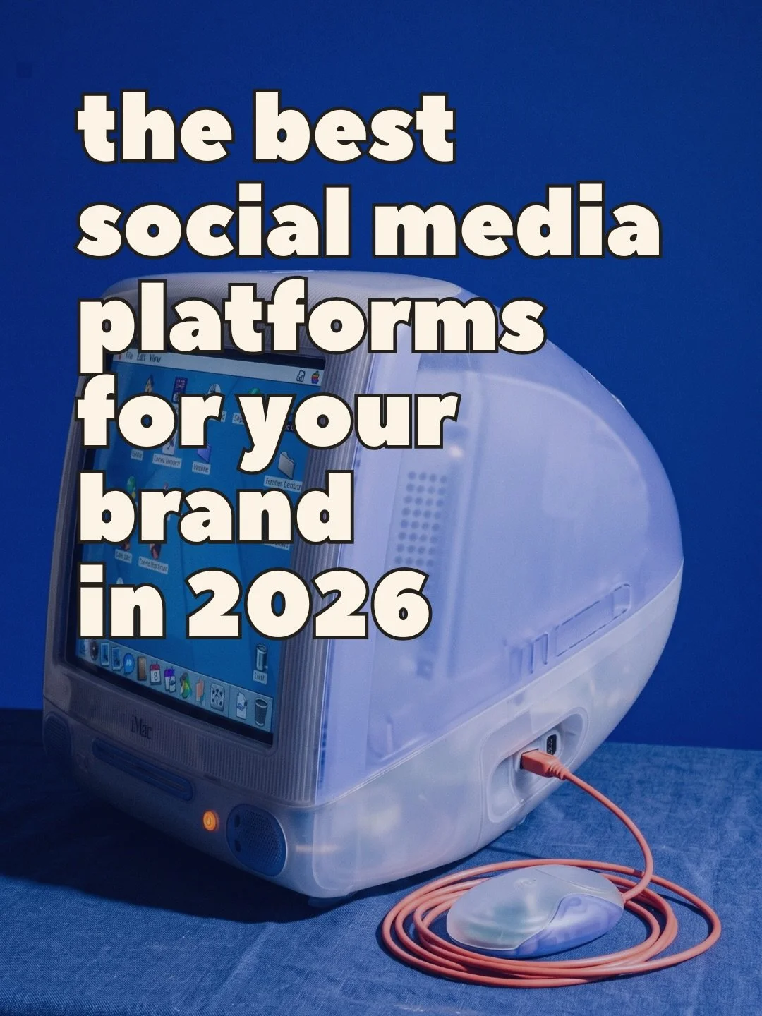 Best social media platforms for small businesses in 2026, and why most people are using the wrong ones.

The platform that fits your brand isn&rsquo;t the one with the most users. It&rsquo;s the one where your audience is already looking for what you