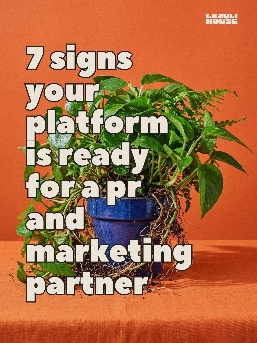 PR and marketing for authors, creators, and public figures who already have a platform.

Having an audience is one problem. Turning it into the right opportunities is a different one, and the second is where most established creators get stuck. You h