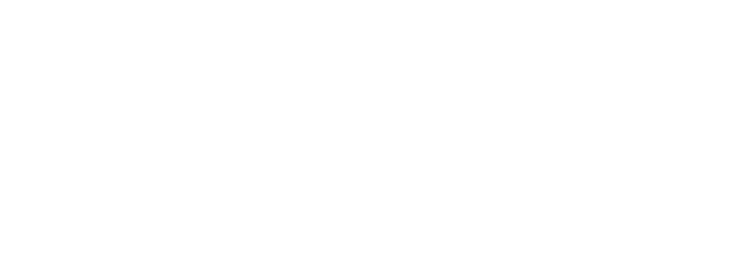Stella Palm