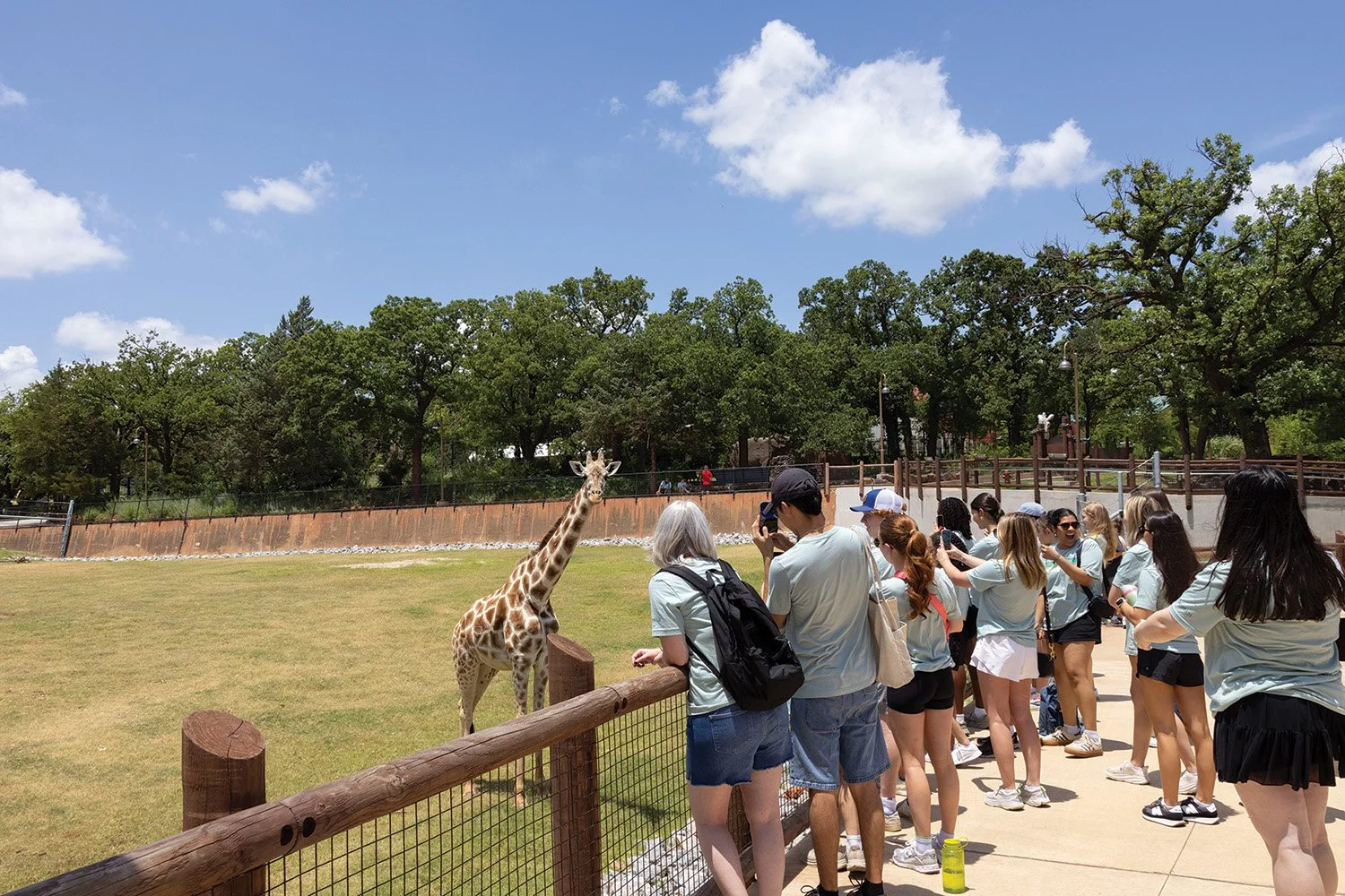People gathered at a zoo viewing a giraffe, some taking photos. The area is enclosed with a wooden and wire fence, with trees and a clear blue sky in the background.