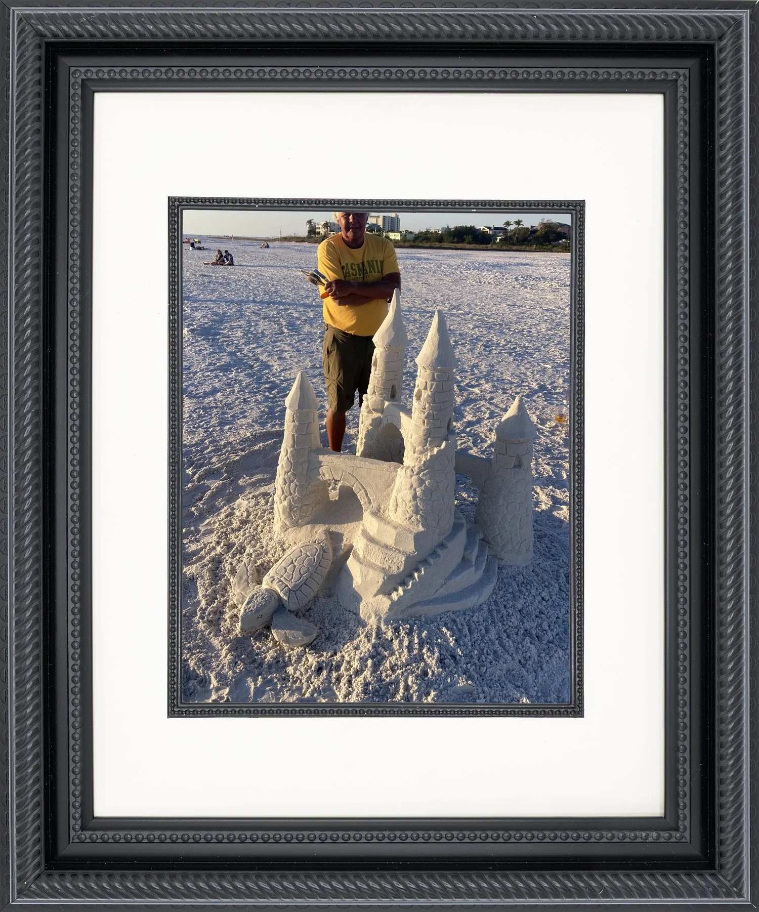 Royal Ridley Turtle