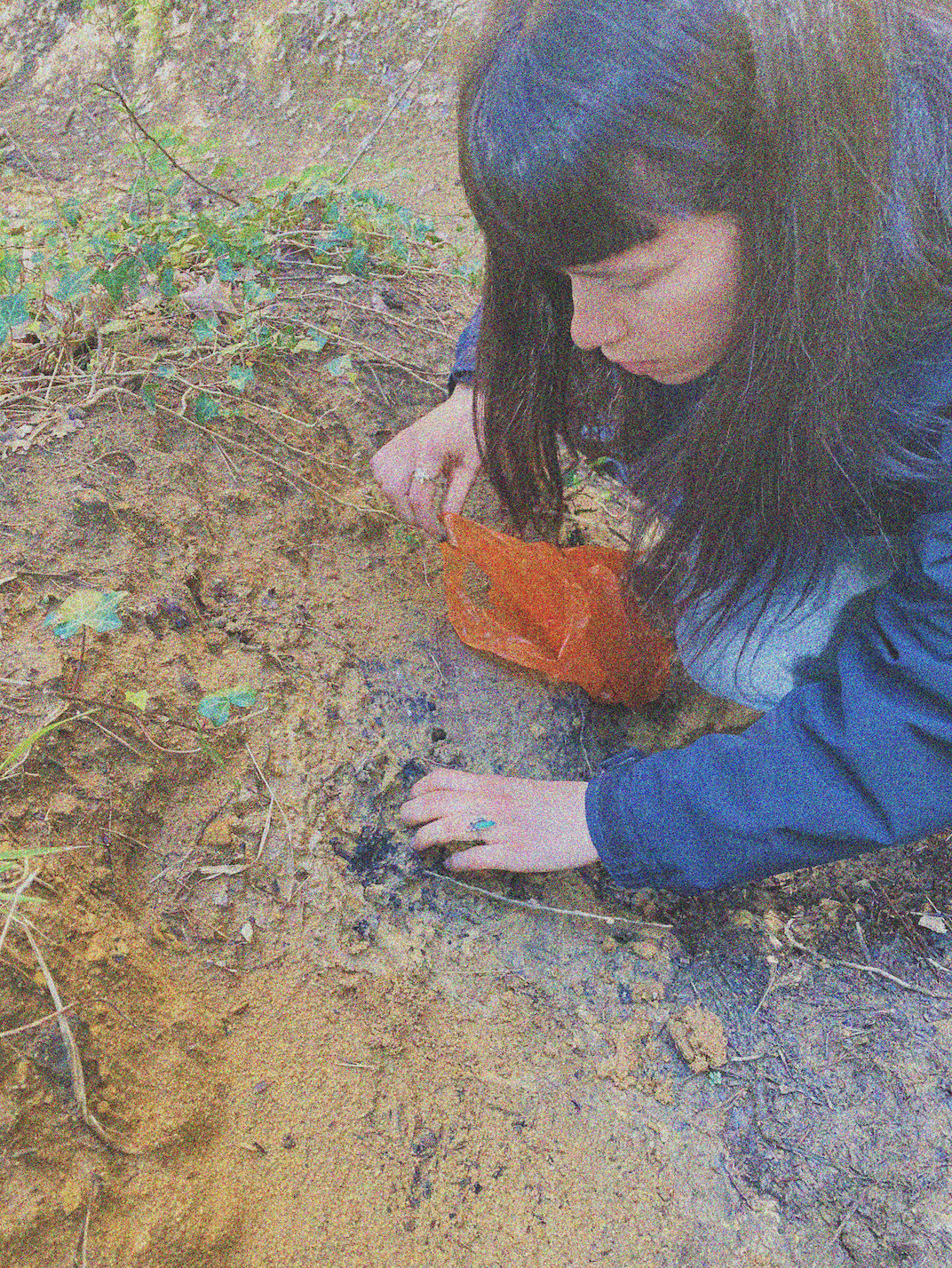 Persona sembrando o cuidando plantas en tierra arenosa.