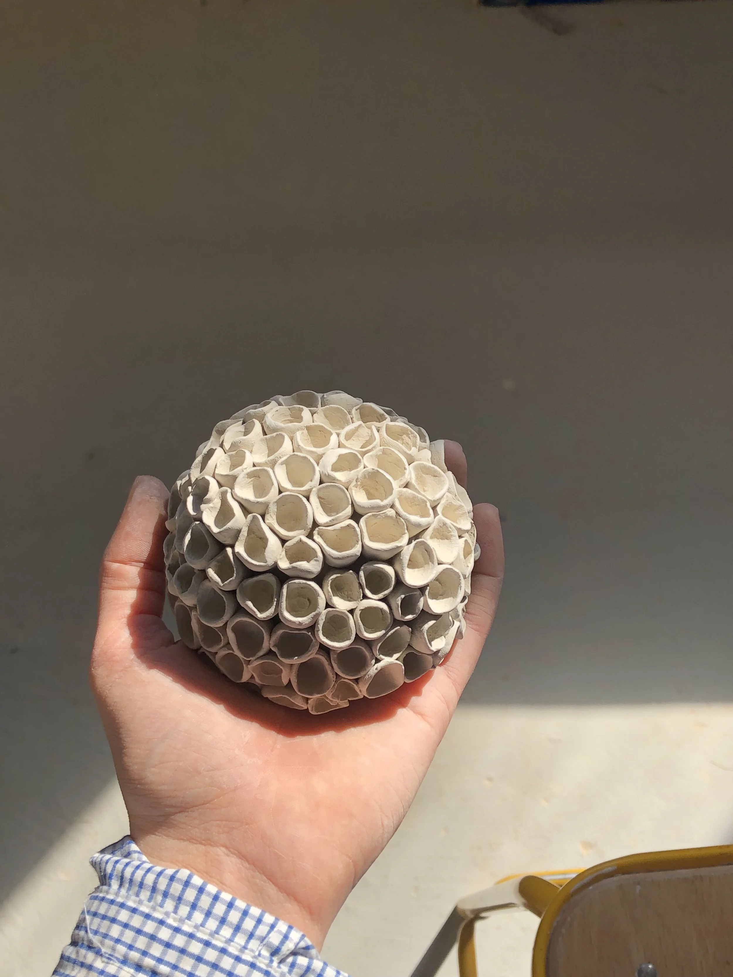 Mano sosteniendo una bola de semillas de urucú, planta que produce semillas con capullos que parecen pequeños tubos o conos