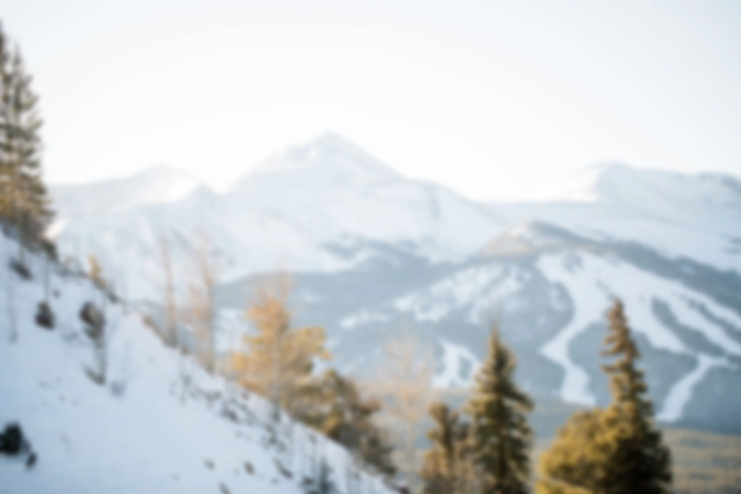 Blurred winter mountain landscape with snow-covered slopes and pine trees.