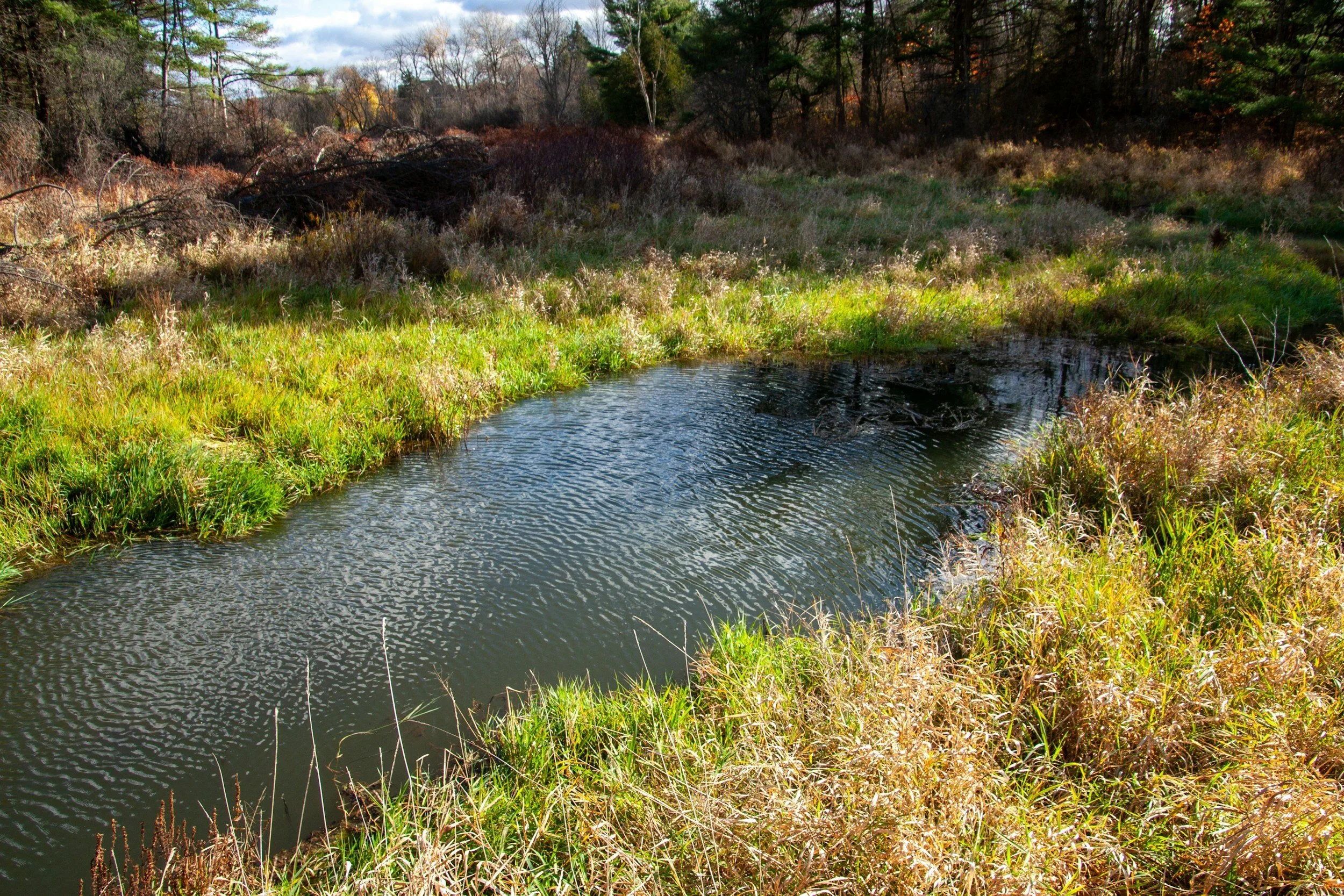 Building a 2-Acre Livestock Pond: A Complete Guide to Pond Construction in Oklahoma