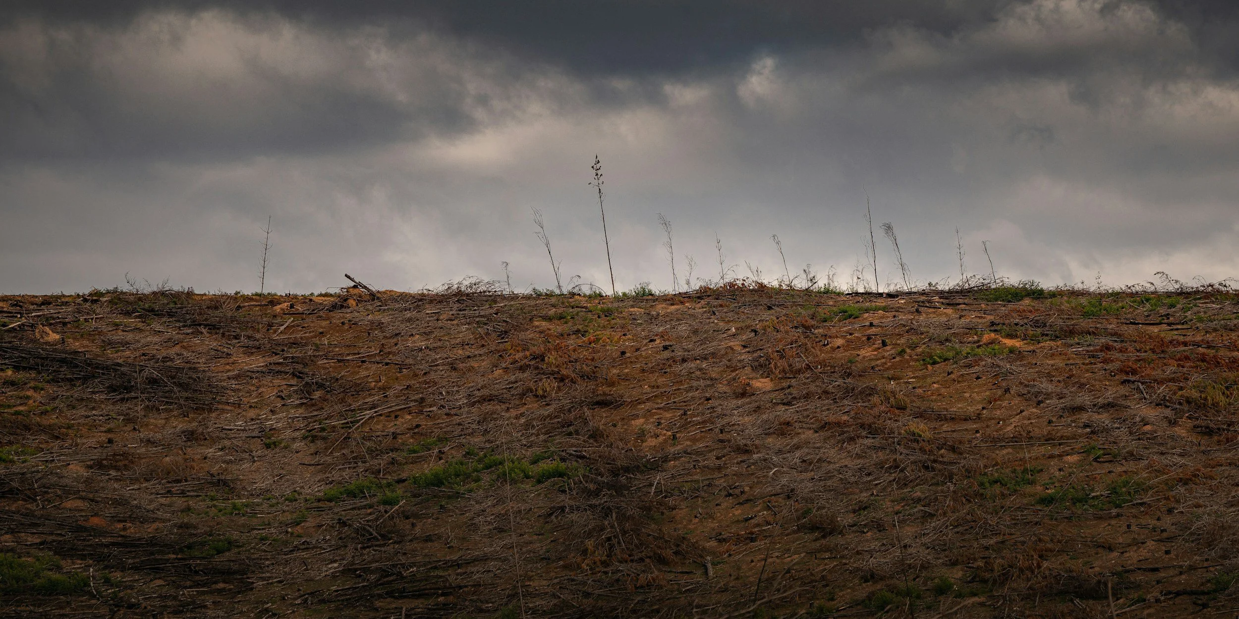 How Bulldozer Land Clearing in Oklahoma Supports Energy Projects