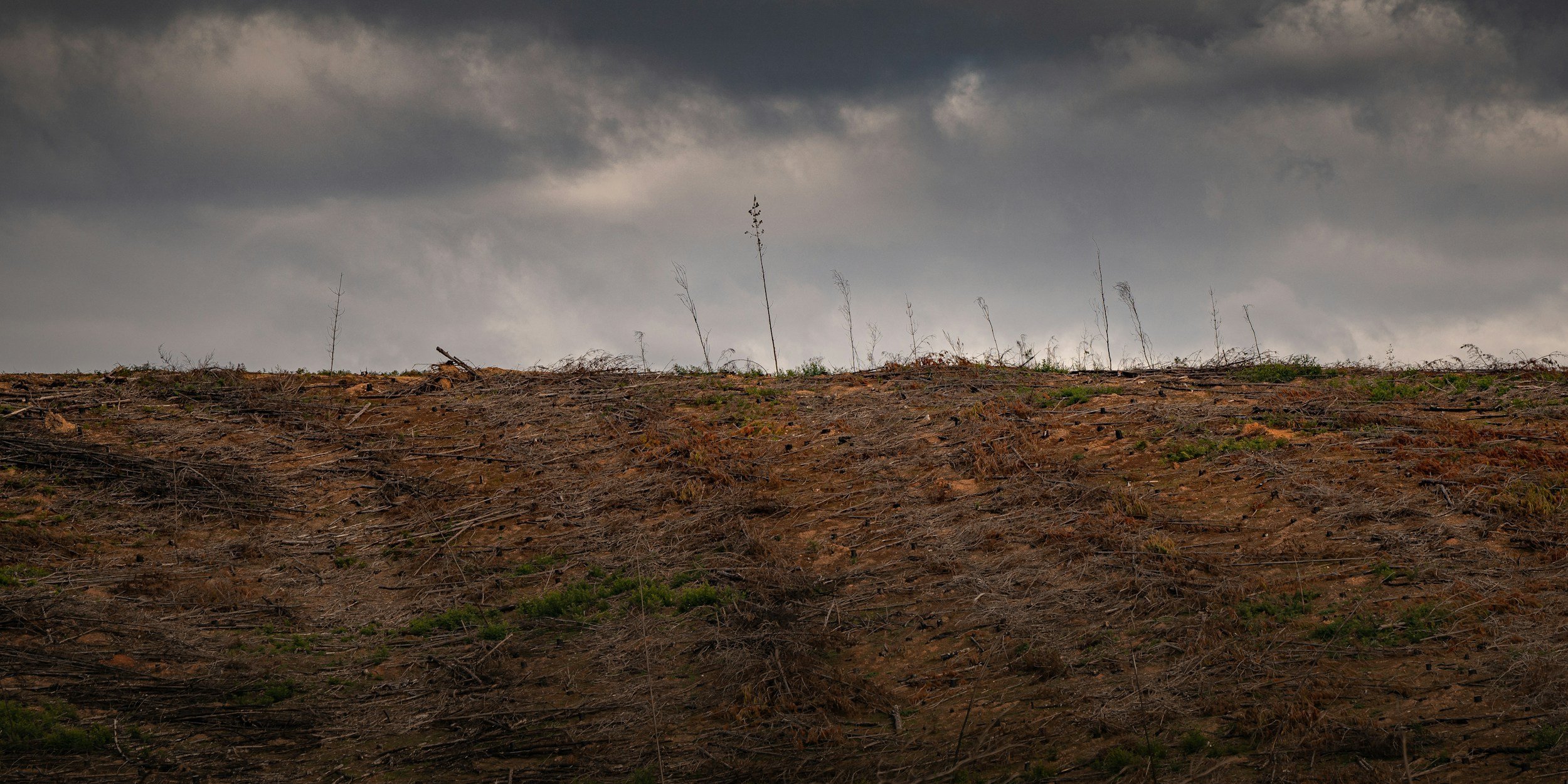 What to Know Before Starting a Land Clearing Project in Oklahoma