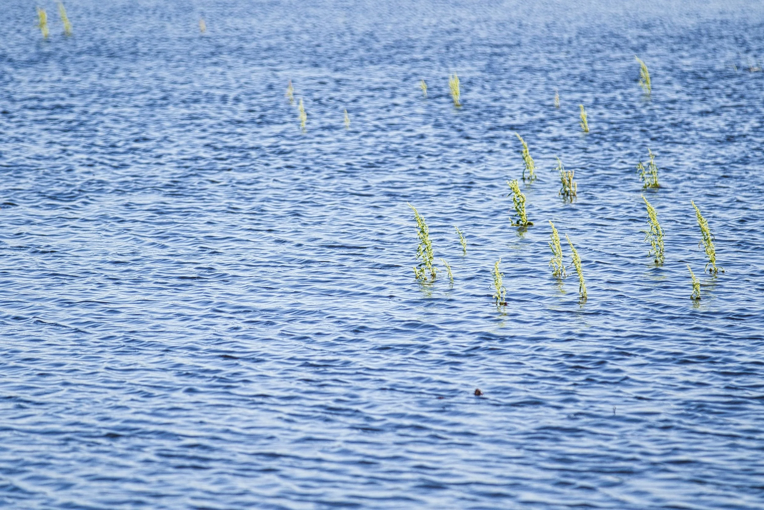 Pond Construction in Oklahoma: 5 Key Steps to Get It Right