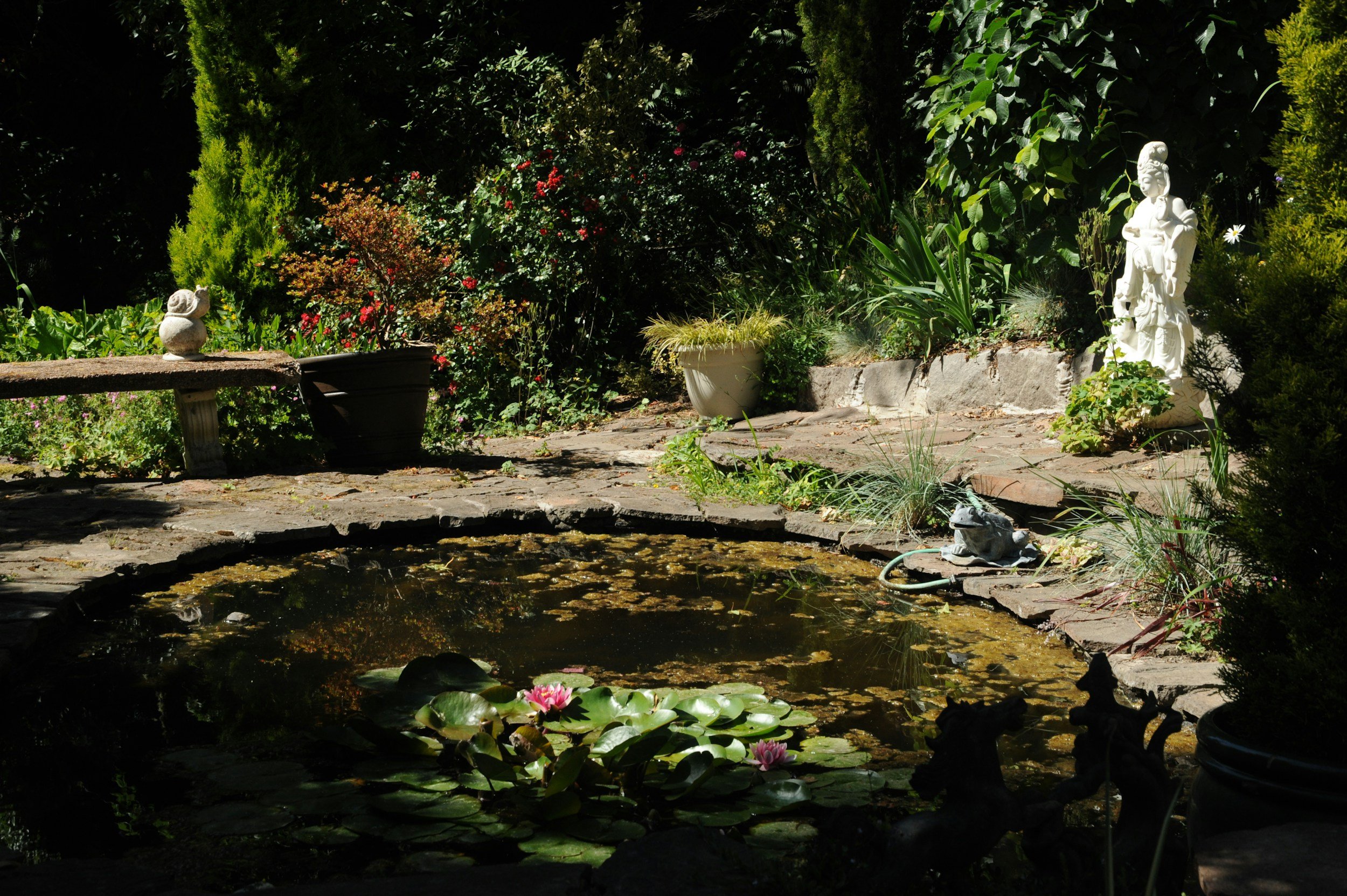 How Pond Construction Can Increase the Value of Your Property