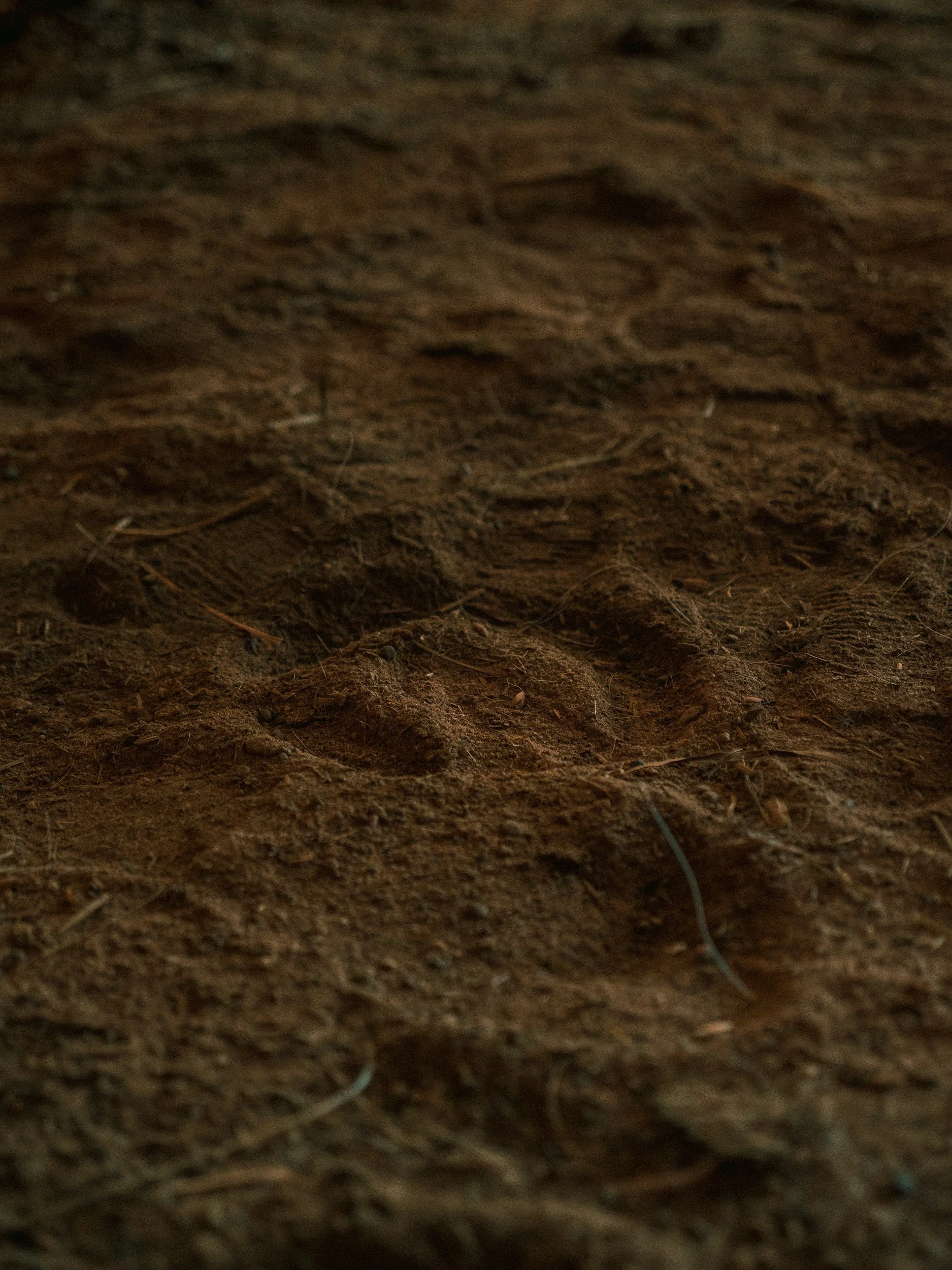 What to Look for When Hiring a Dirt Work Contractor
