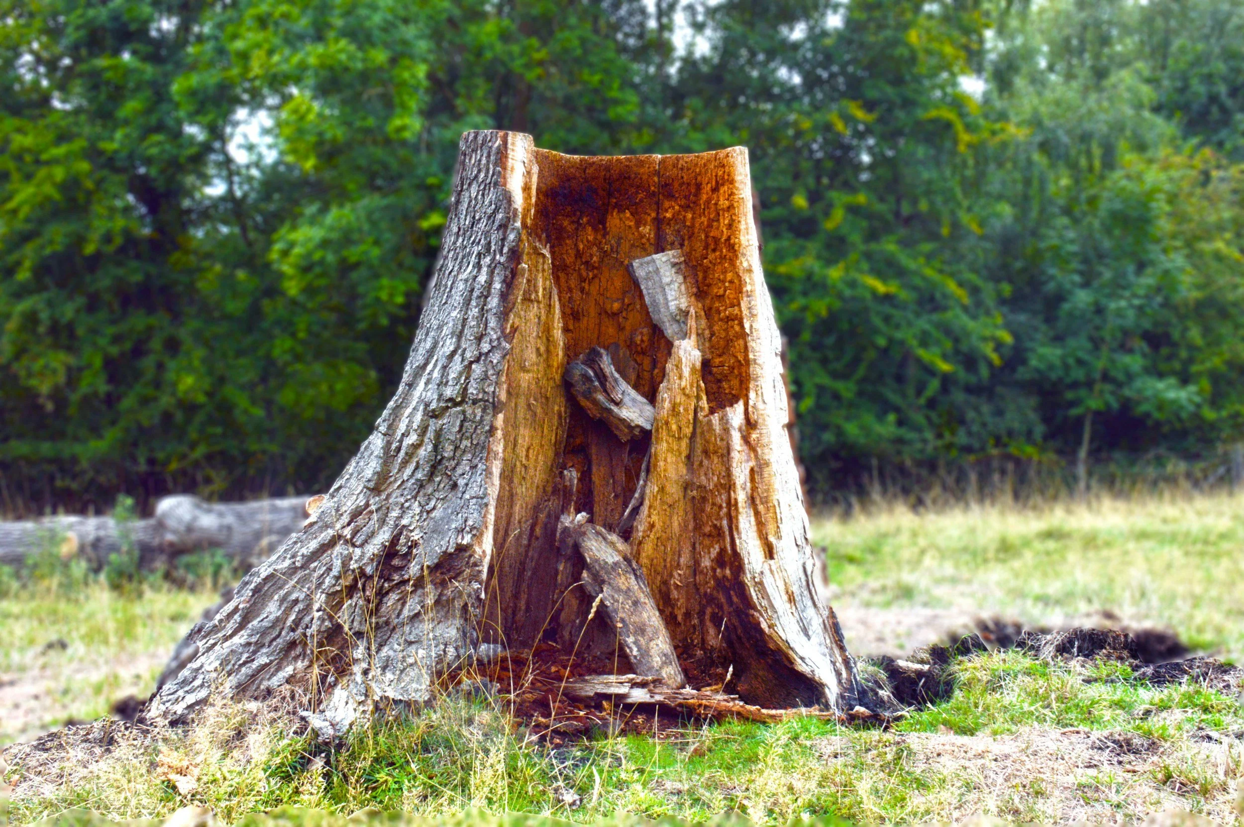 The Benefits of Bulldozer Land Clearing in Oklahoma for Your Property