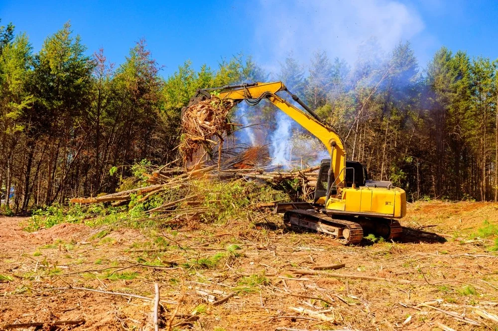 Yellow excavator demolishing a fallen tree in a forest clearing with smoke and a blue sky