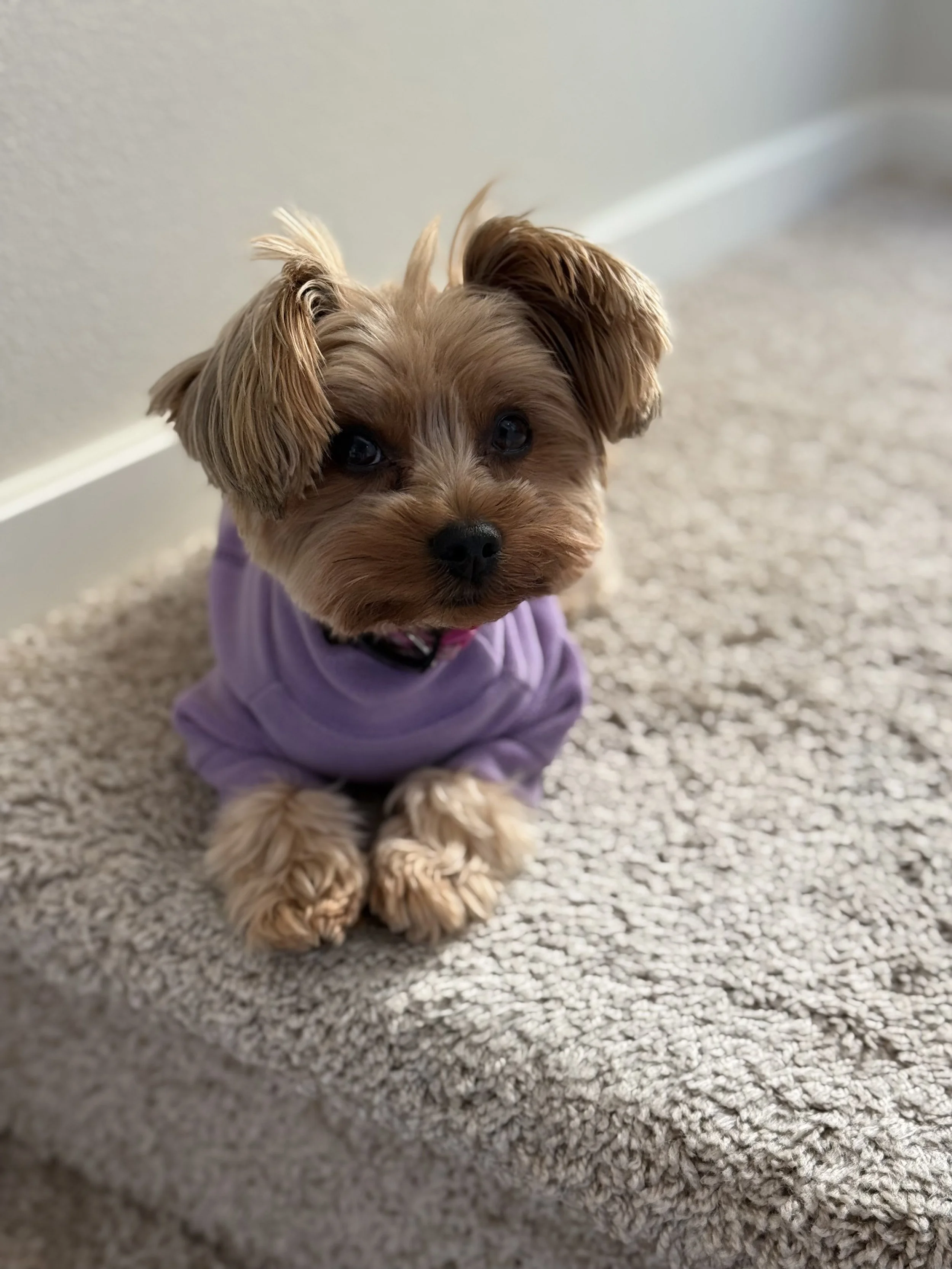 🚩 Tactics are not strategy. 🚩