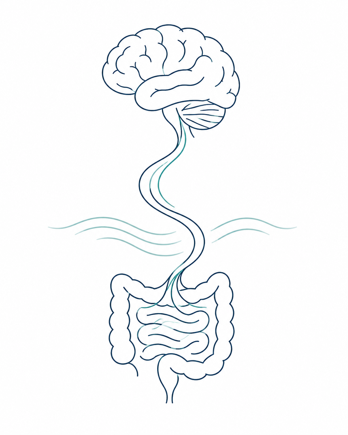 Through a deep dive into child's story, we can figure out underlying root causes of poor behavior, sleep, and gut issues, which are all connected