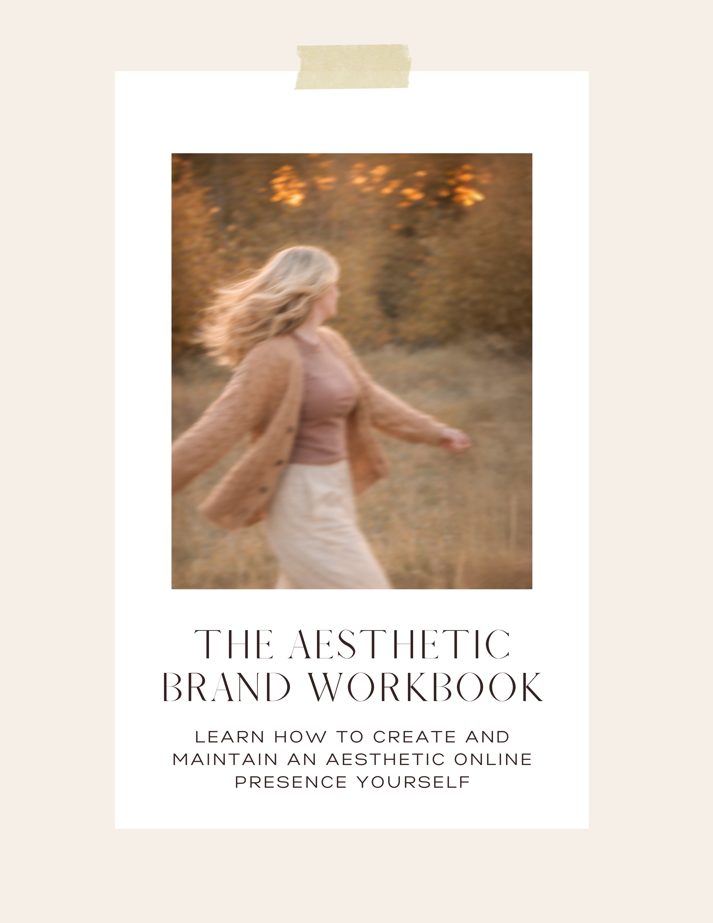 The Aesthetic Brand Workbook