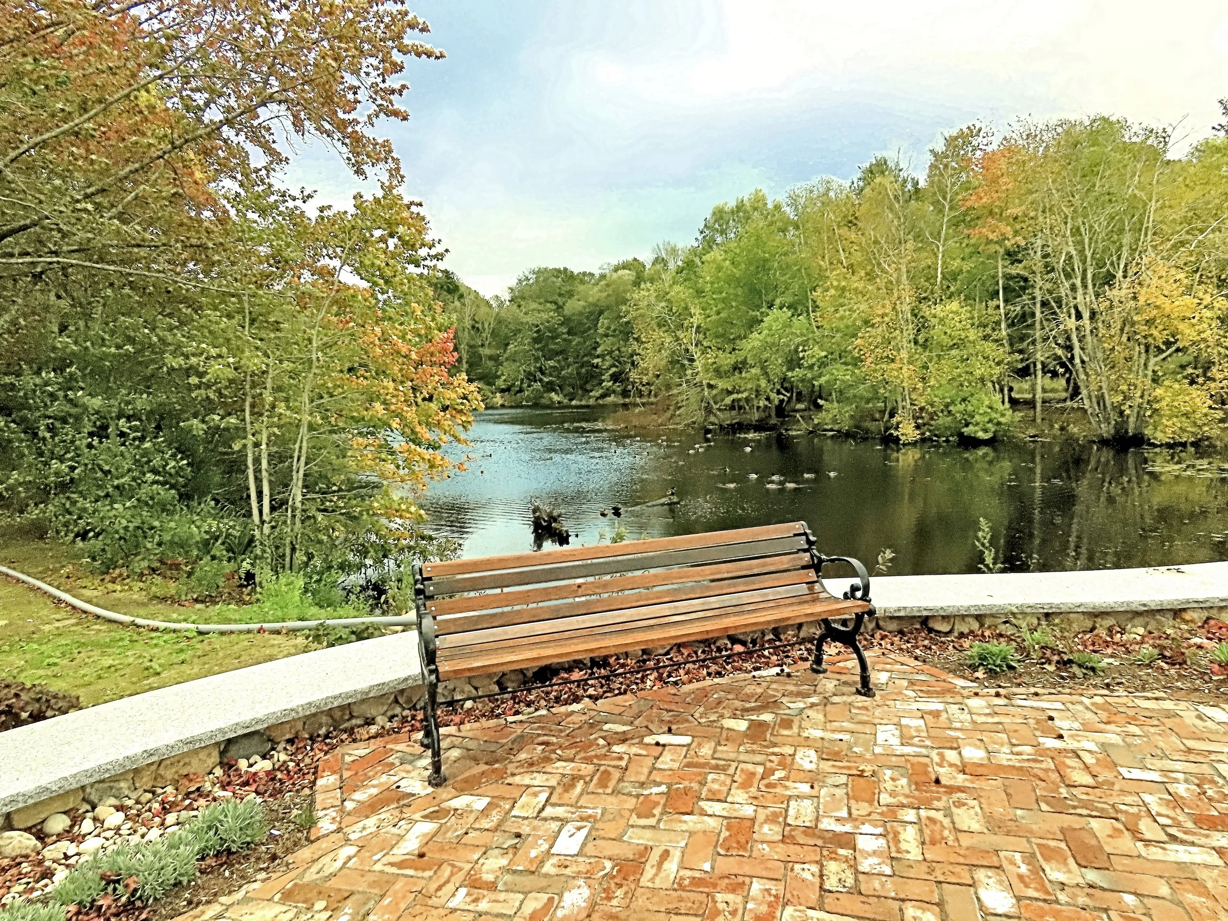Jenney Pond - JS Andrew - 4.jpg