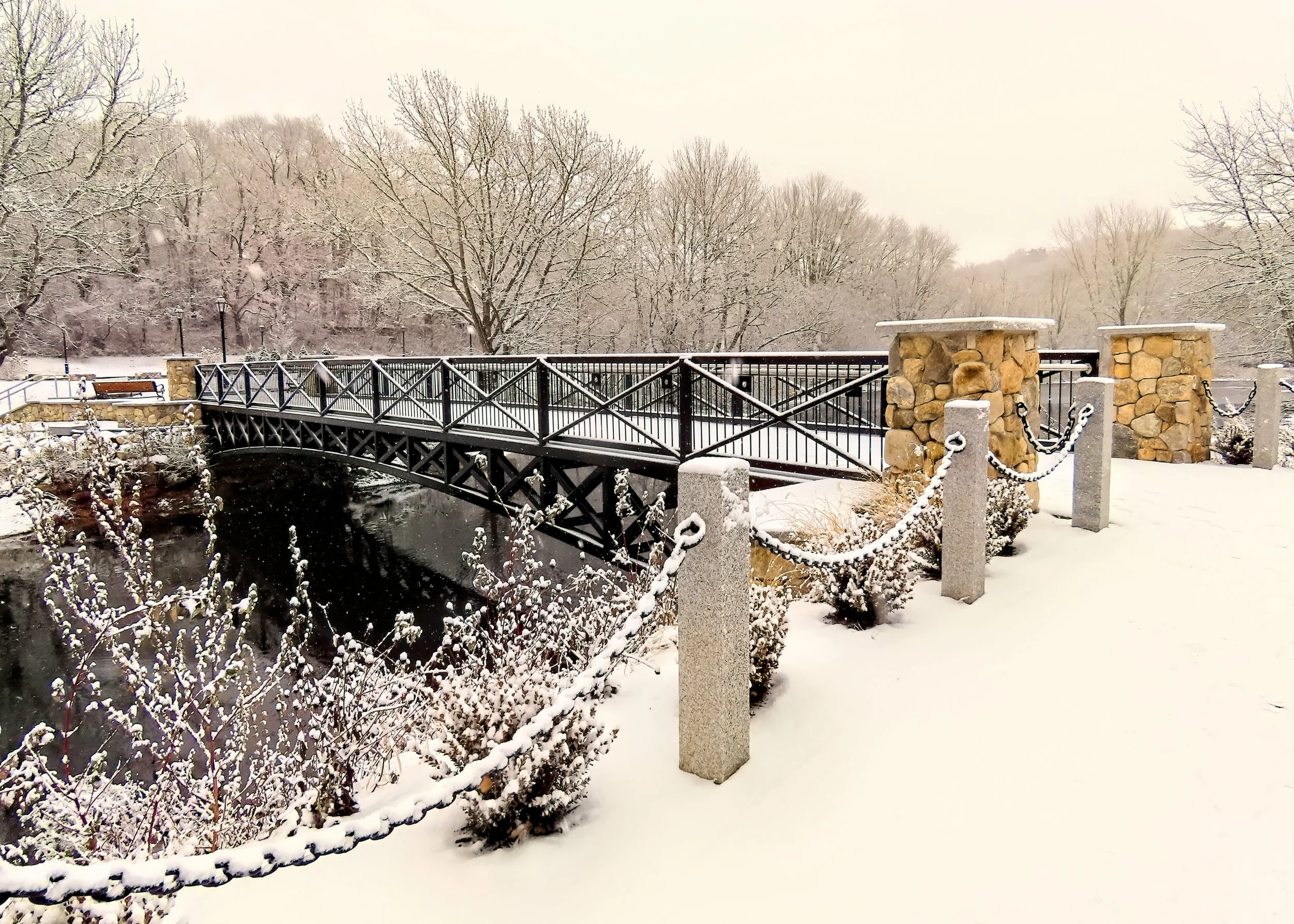 Jenney Pond - JS Andrew - 2.JPG