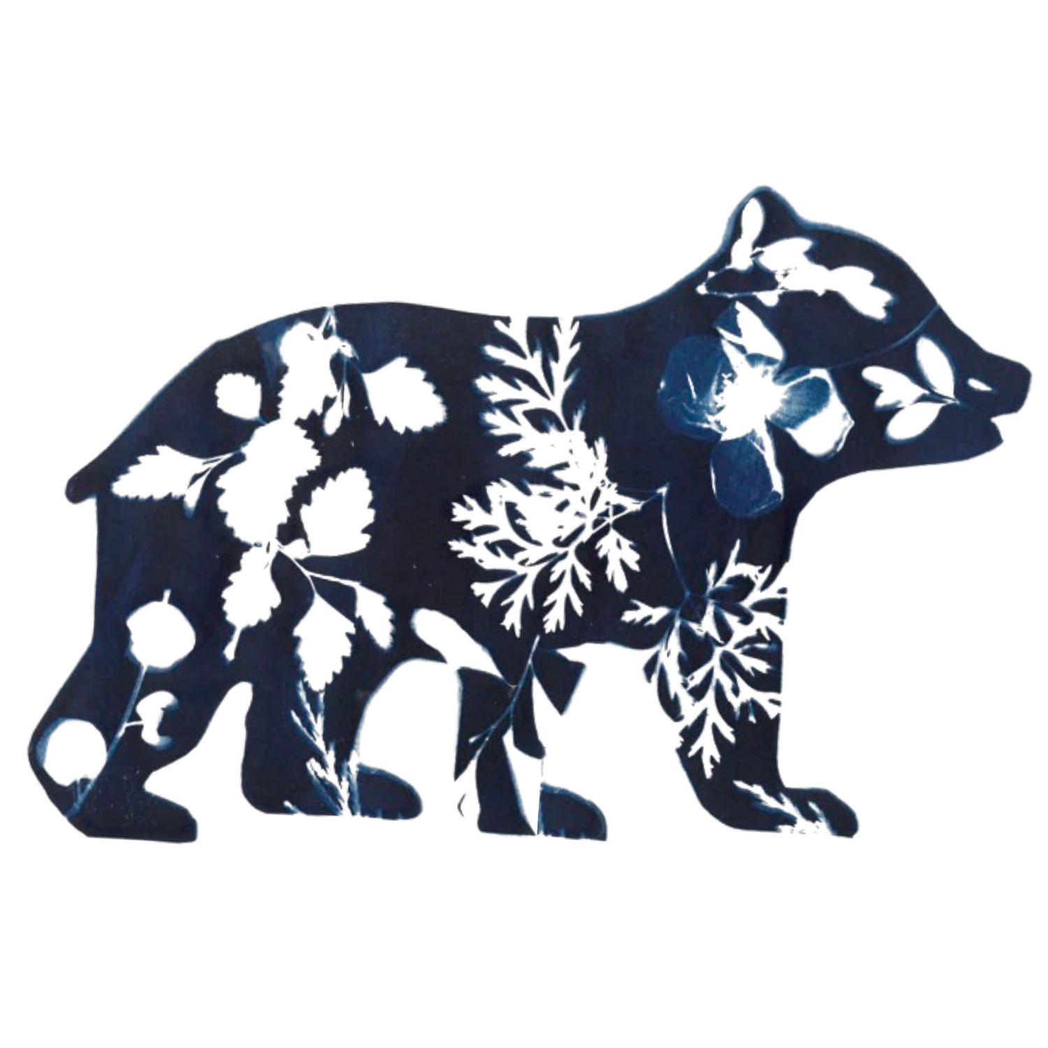 Bloom and Belong Outdoor Learning Squamish