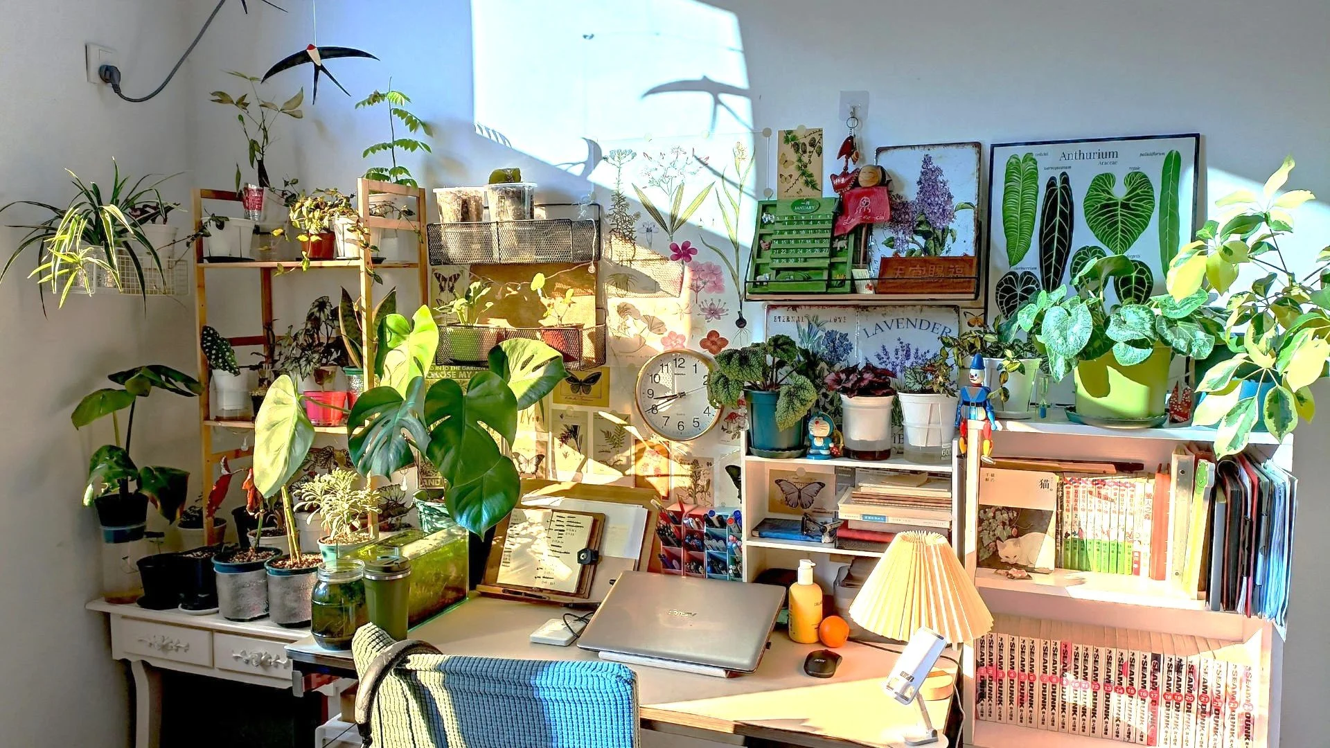 The Science Behind: Why Nature Helps Your Brain Rest