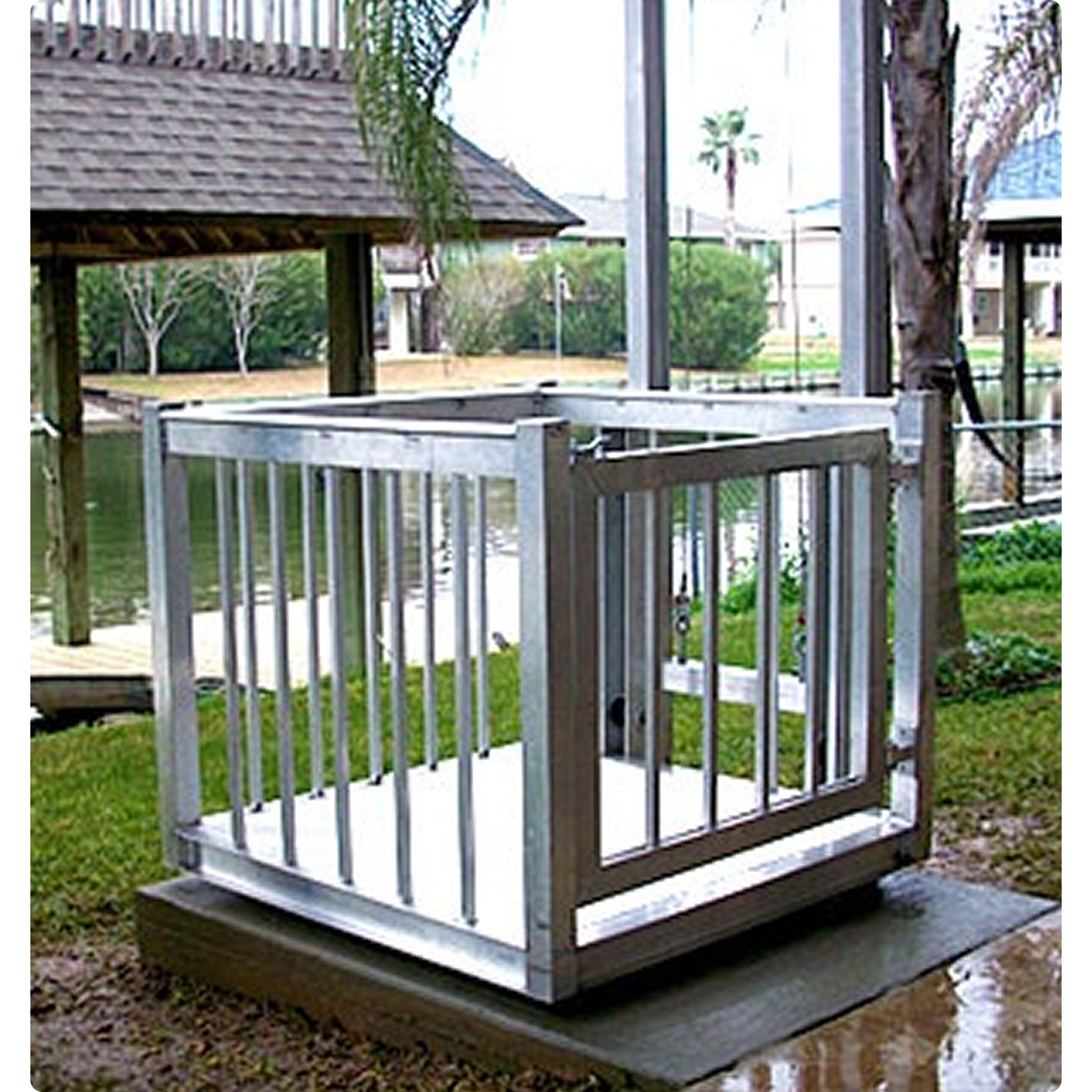 Classic Series -3.png