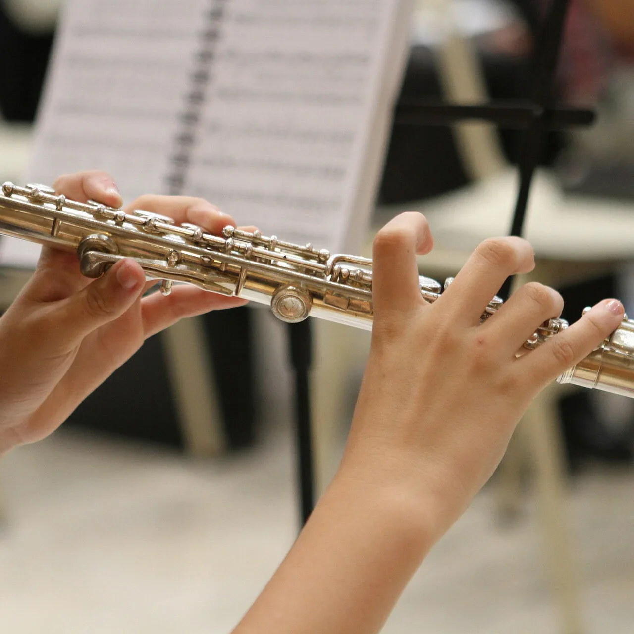 NEW! Flute Lessons