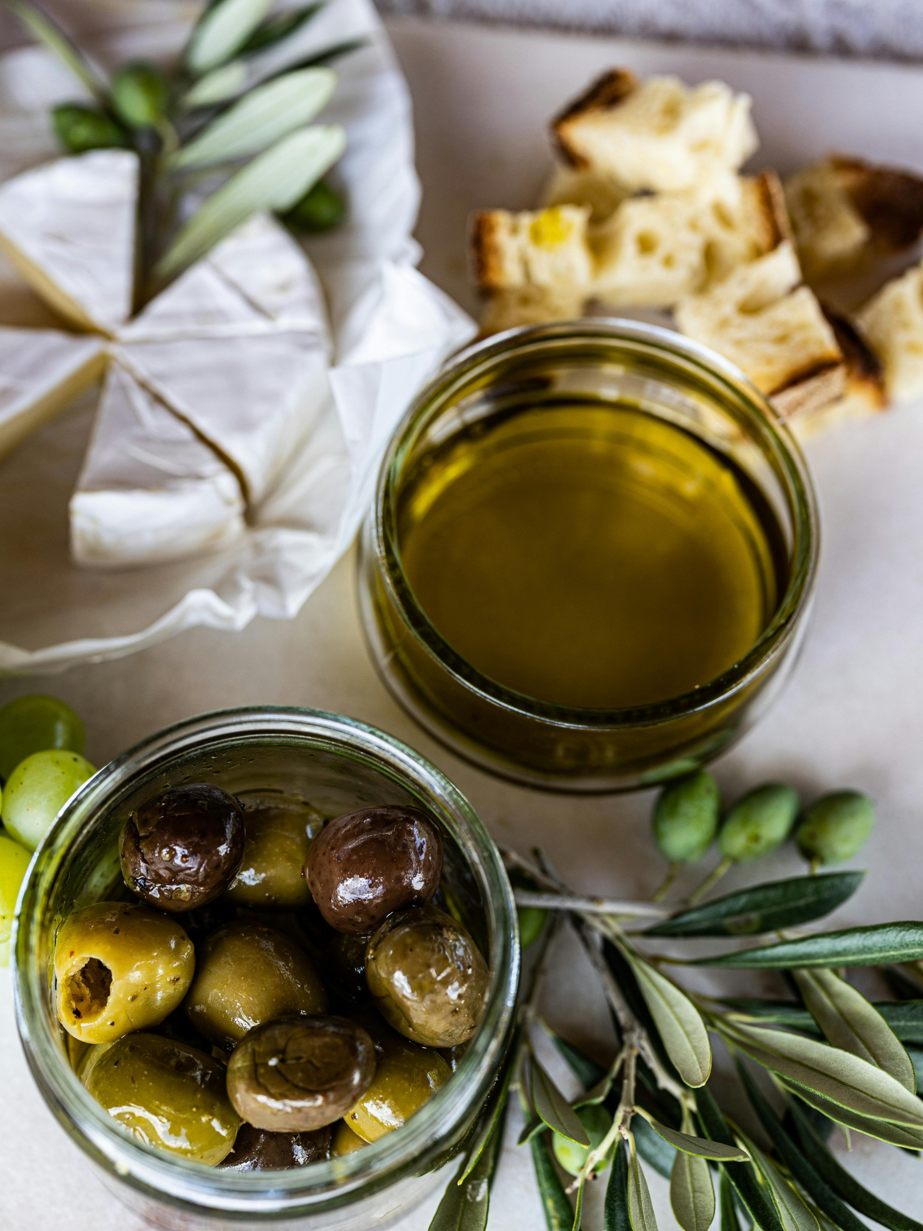 A jar of green and black olives, a glass of olive oil, a wedge of Brie cheese with a sprig of rosemary, toasted bread, and a sprig of olive branches on a white surface.