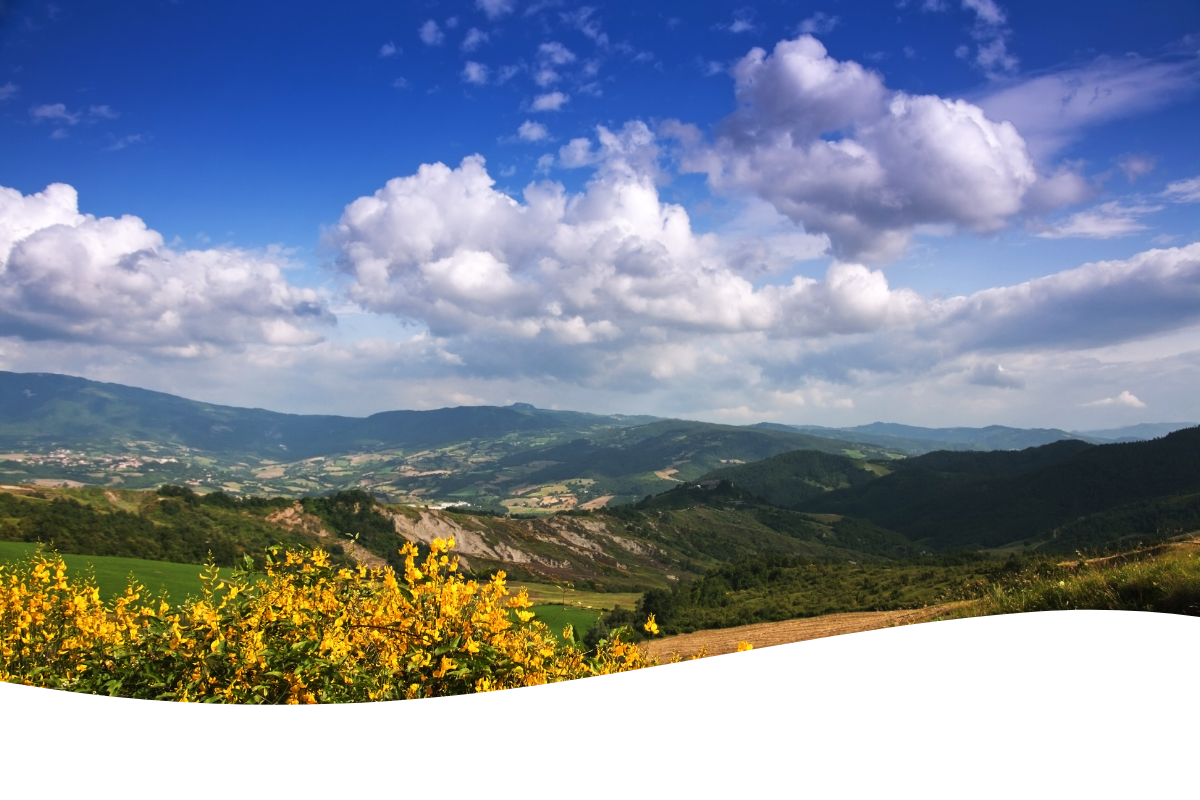 Scenic landscape of rolling green hills with yellow flowering bushes in the foreground. The sky is blue with scattered white clouds.
