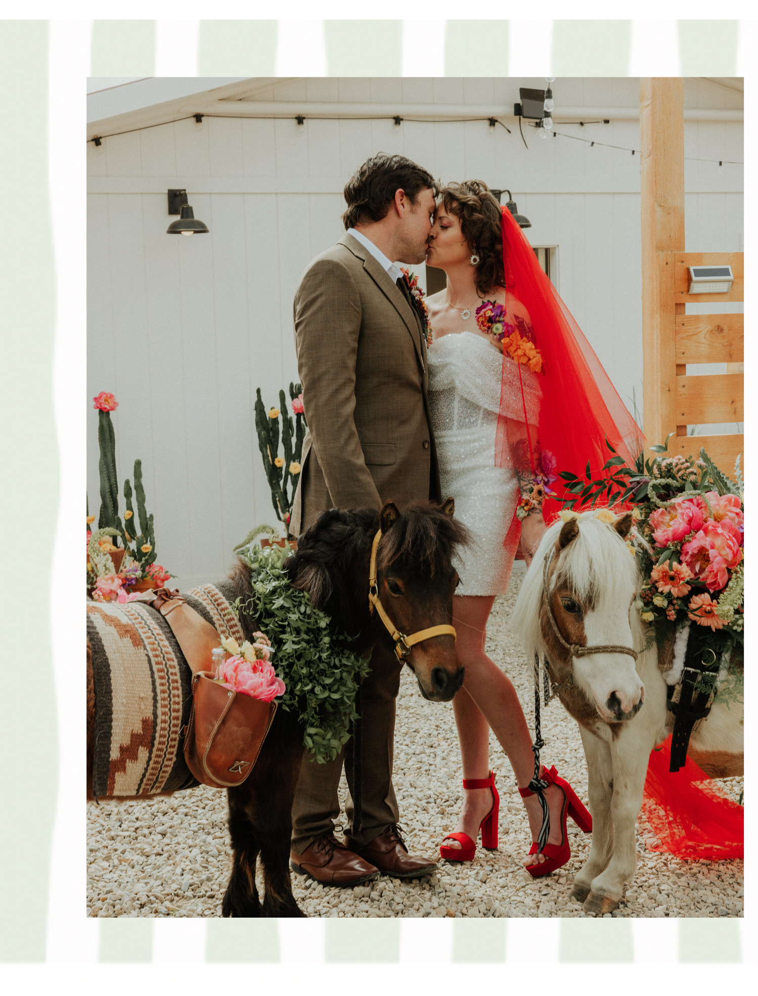 A couple in wedding attire, kissing at a wedding ceremony with two decorated ponies in front of white wall and plants.