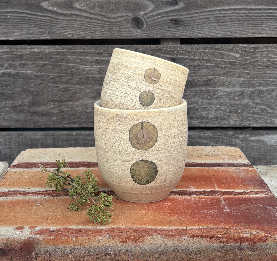 Osage Orange Seed Pair