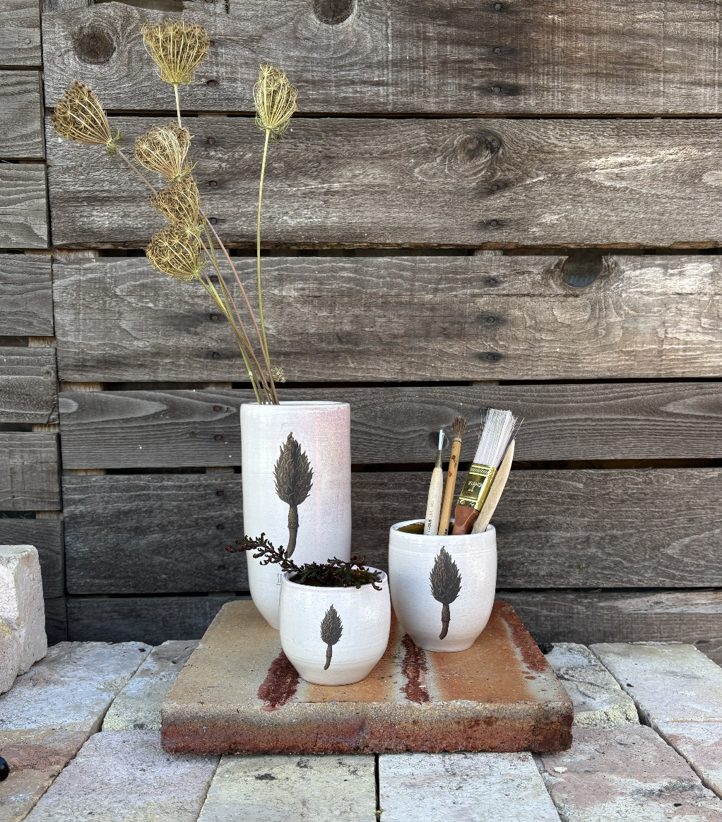Magnolia Seed Pod Set