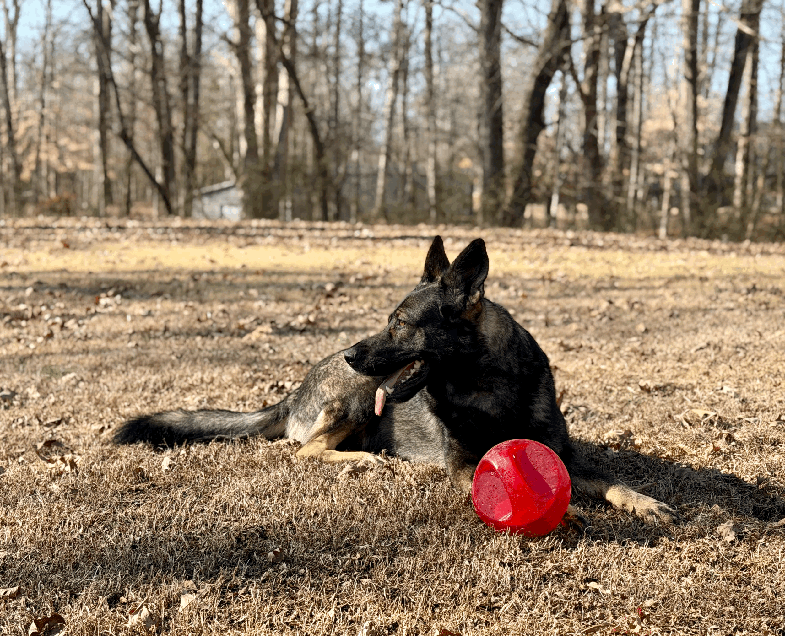 Introductory Lesson and Assessment