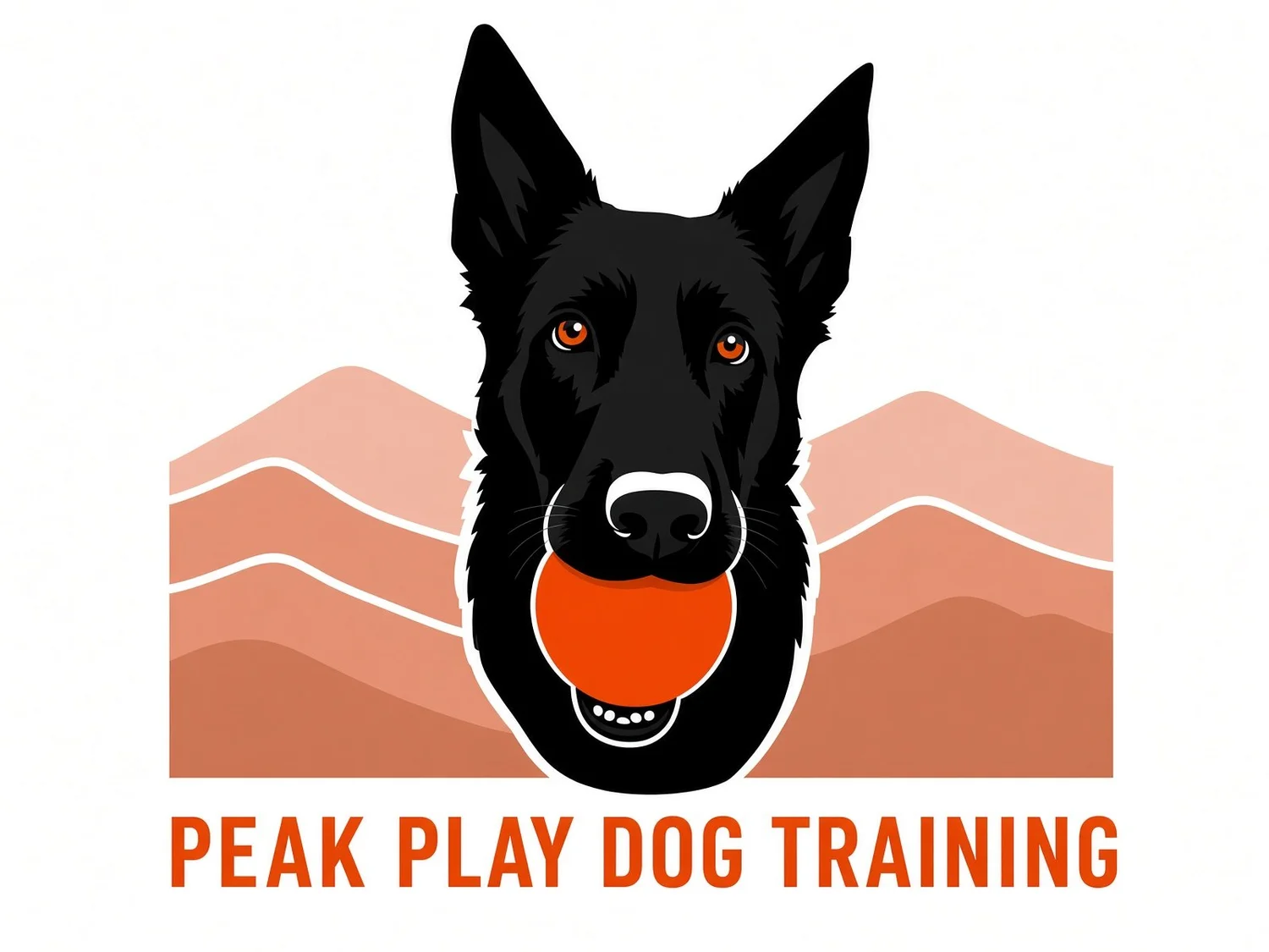 Peak Play Dog Training