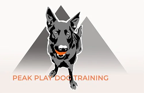 Peak Play Dog Training