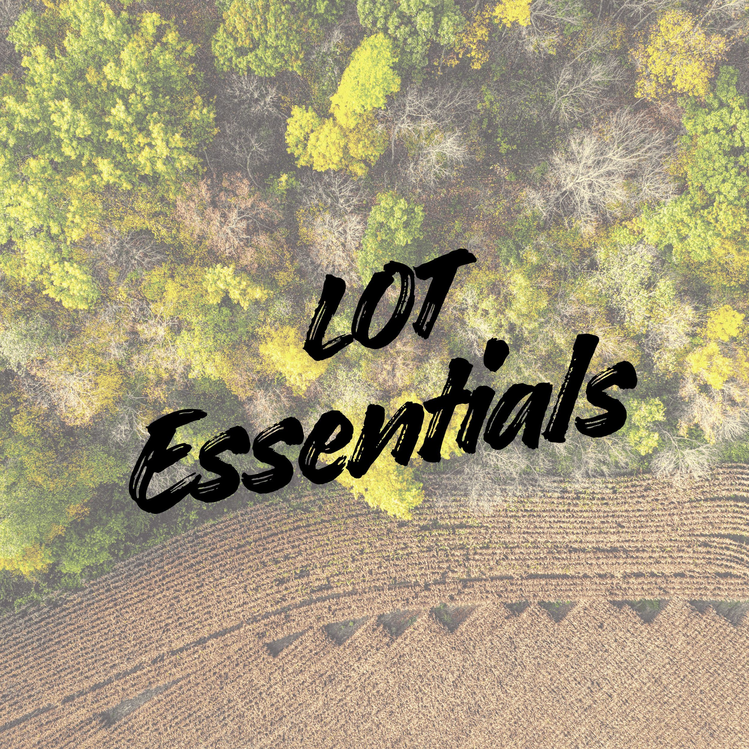An aerial view of a forest with some trees that have lost their leaves and a vineyard at the bottom, with the text "LOT Essentials" overlaid.