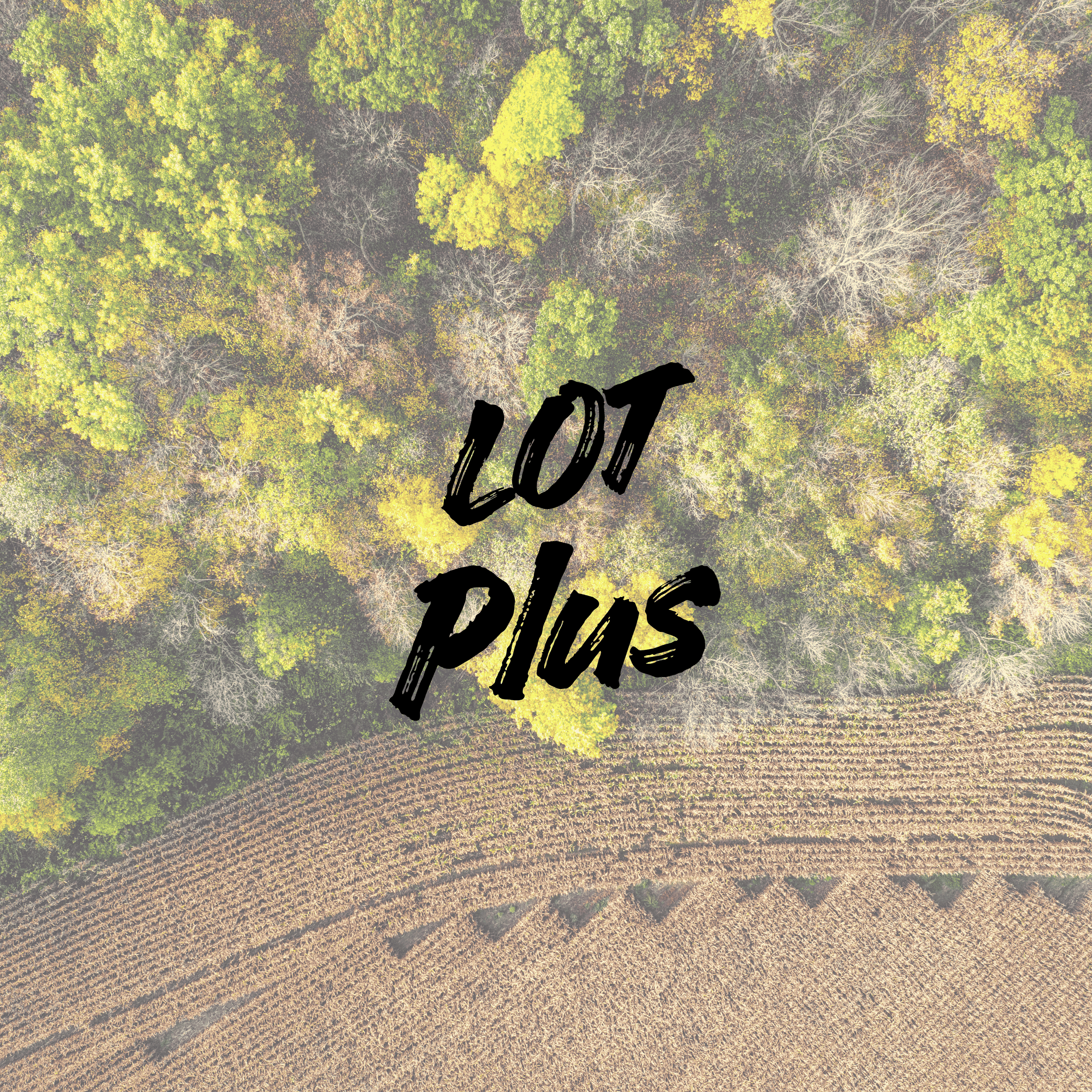 Aerial view of a forest with green and yellow trees and a field with rows of crops. Text overlay says 'LOOT PLUS'.