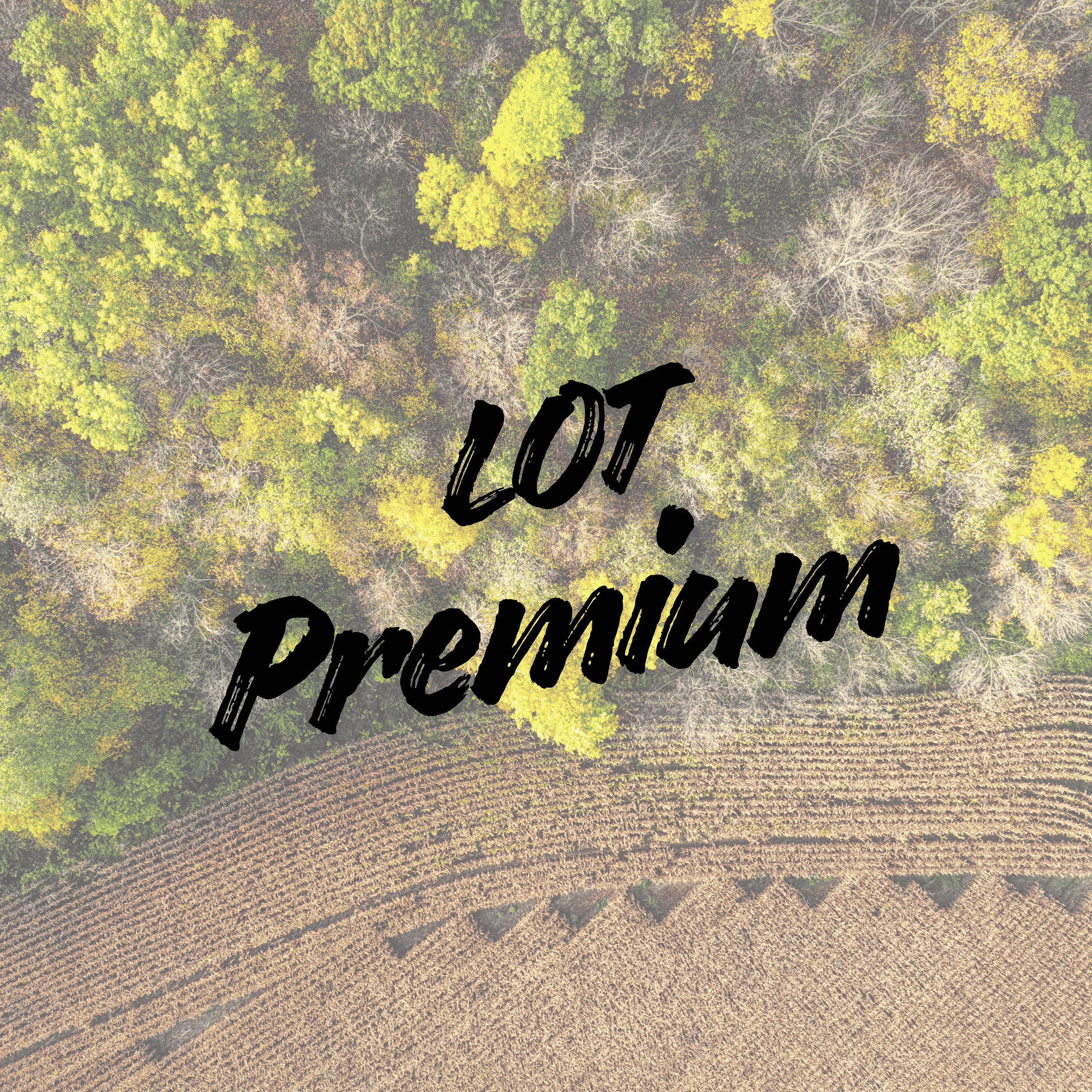 An aerial view of a forest and a farmland with the words 'LUT, Premium' overlaid in black handwritten font.