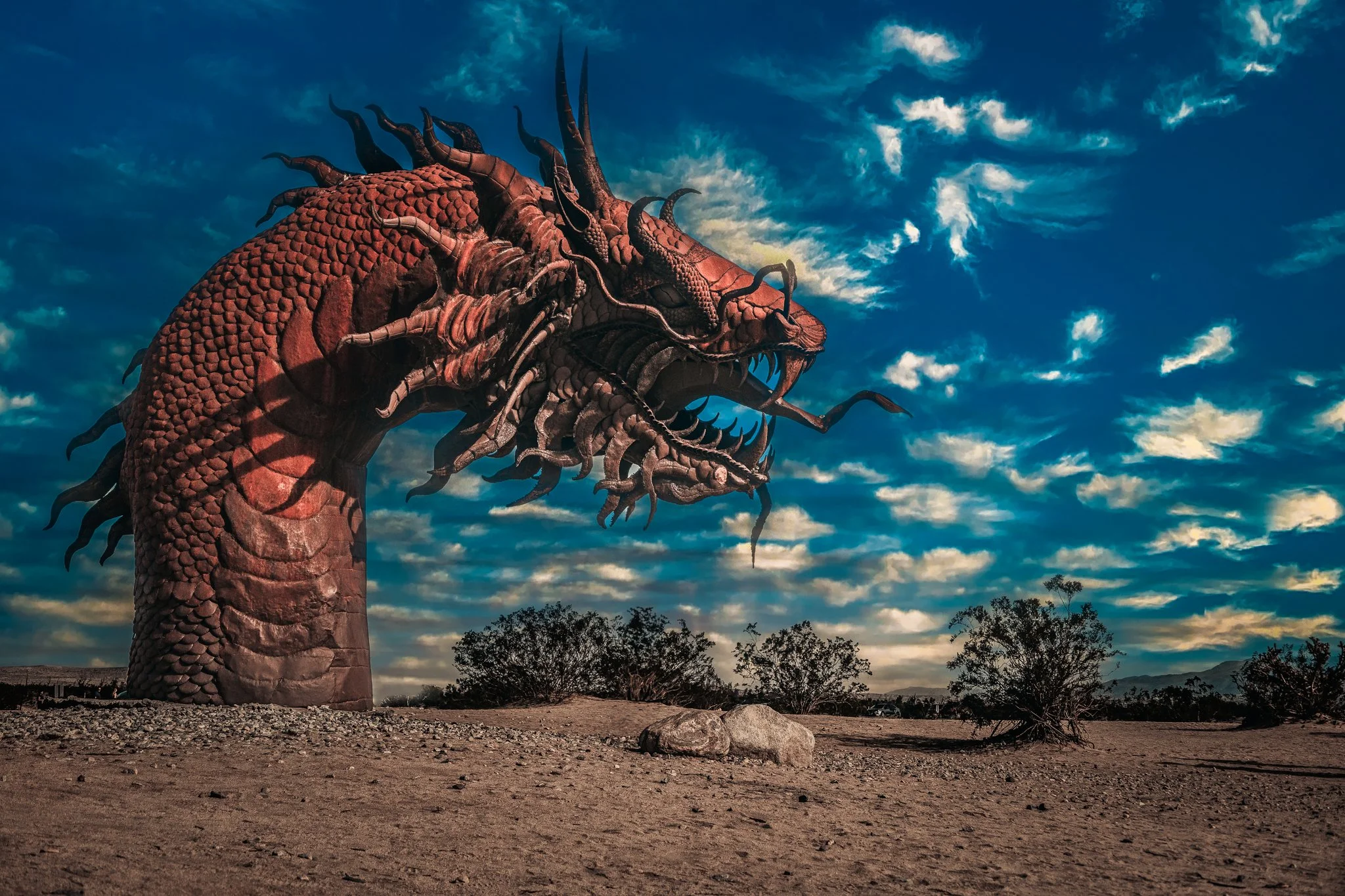 Sentinel of the Desert