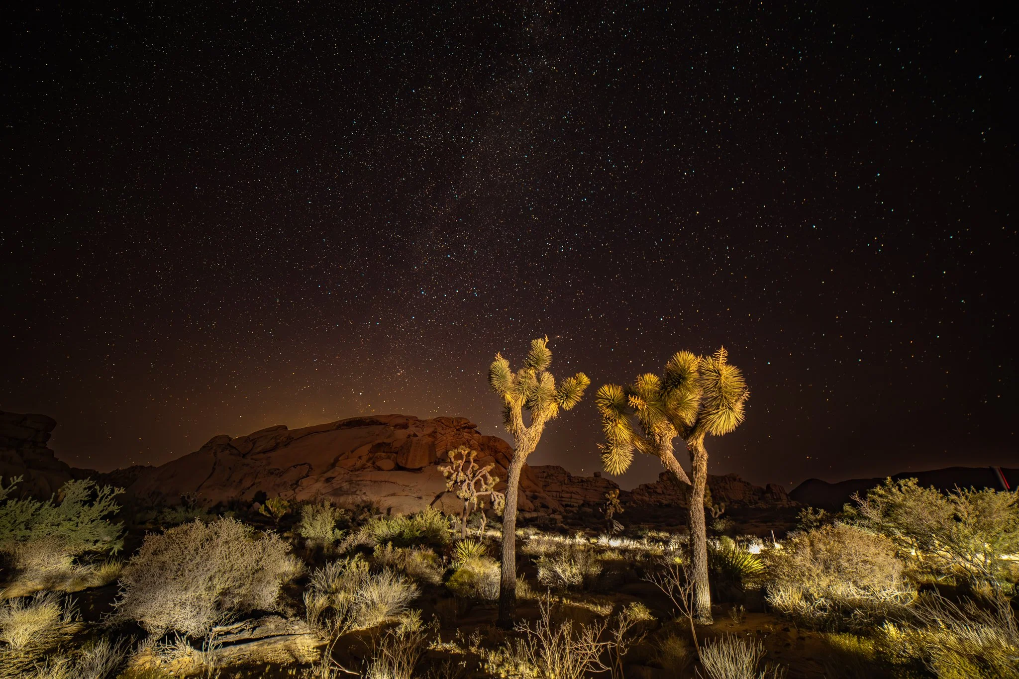 Guardians of the Night