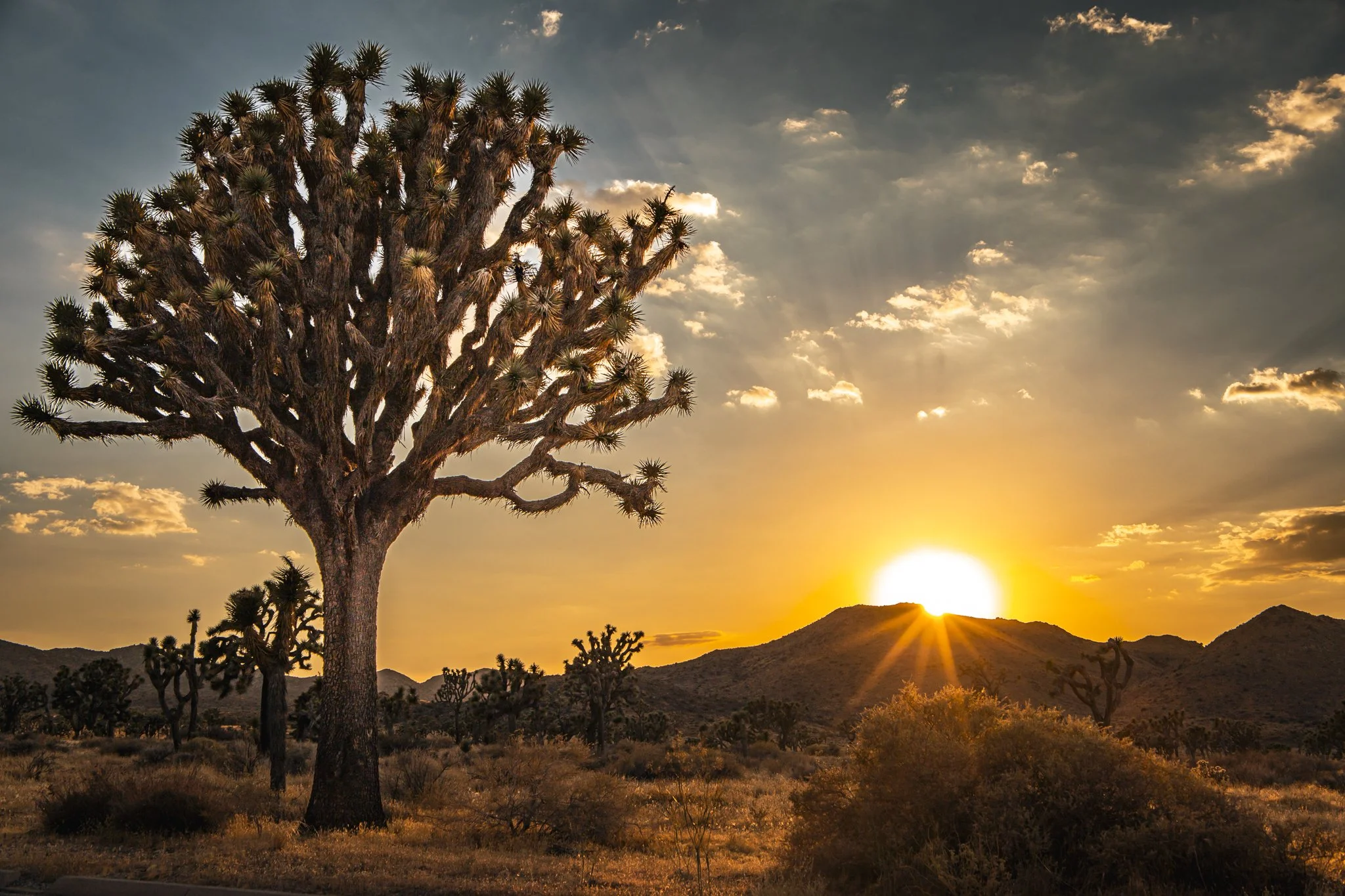 Holding the Last Light