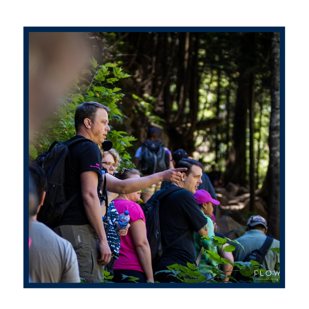 A group of people, including a man in a black shirt and backpack, are on a nature hike in a forest, with sunlight filtering through trees.