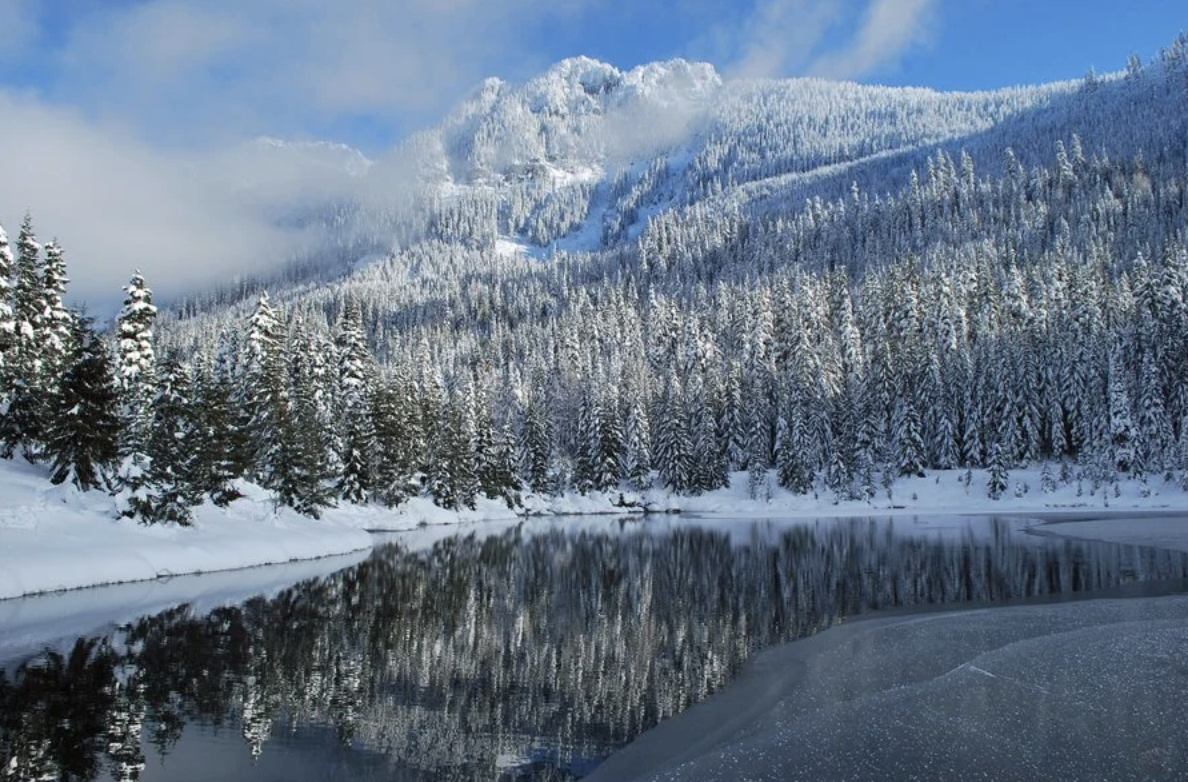 Gold Creek Pond Scenery