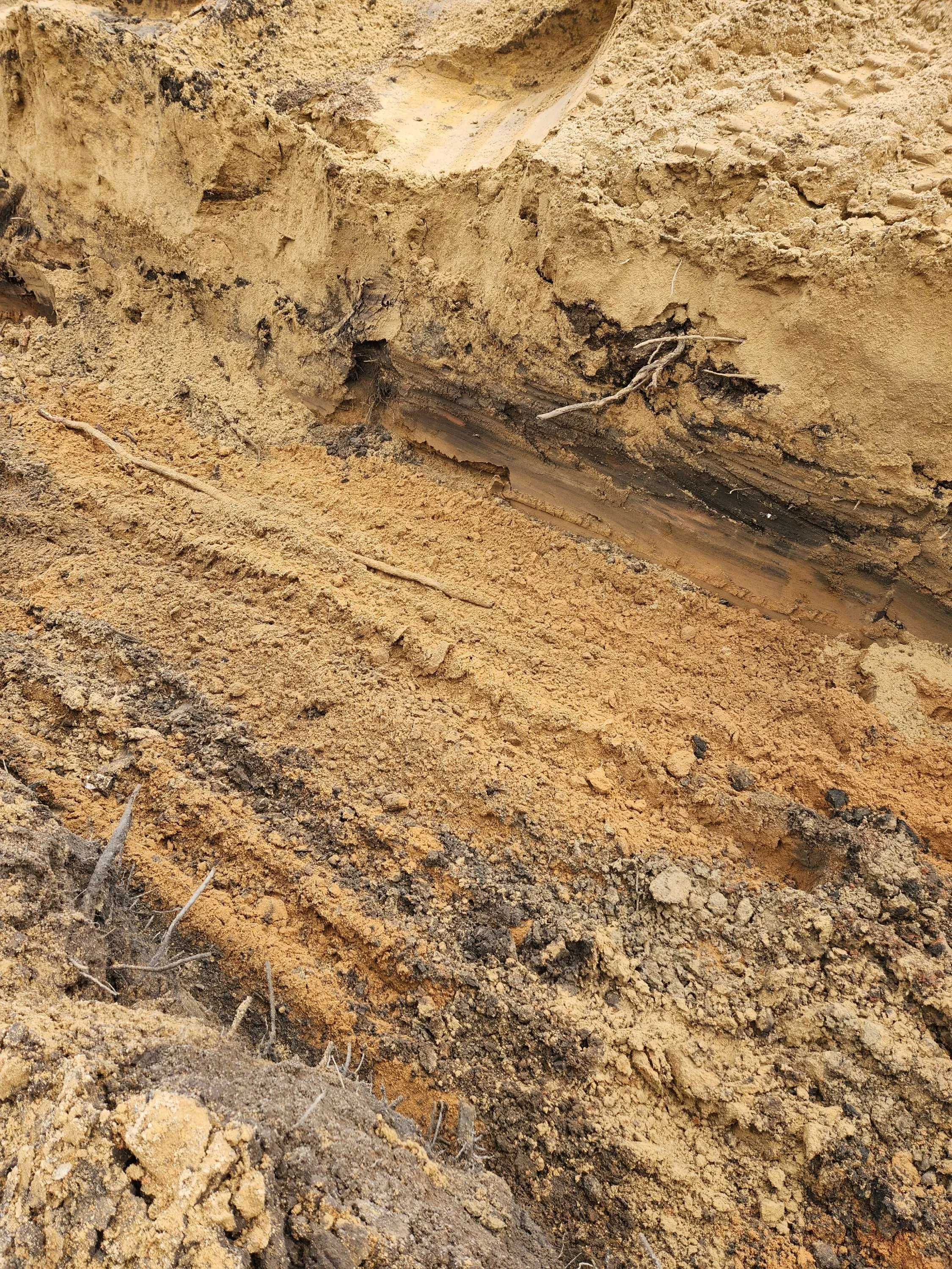 Close-up of an underground archaeological excavation showing layered soil and a piece of ancient wood or artifact embedded in the soil.